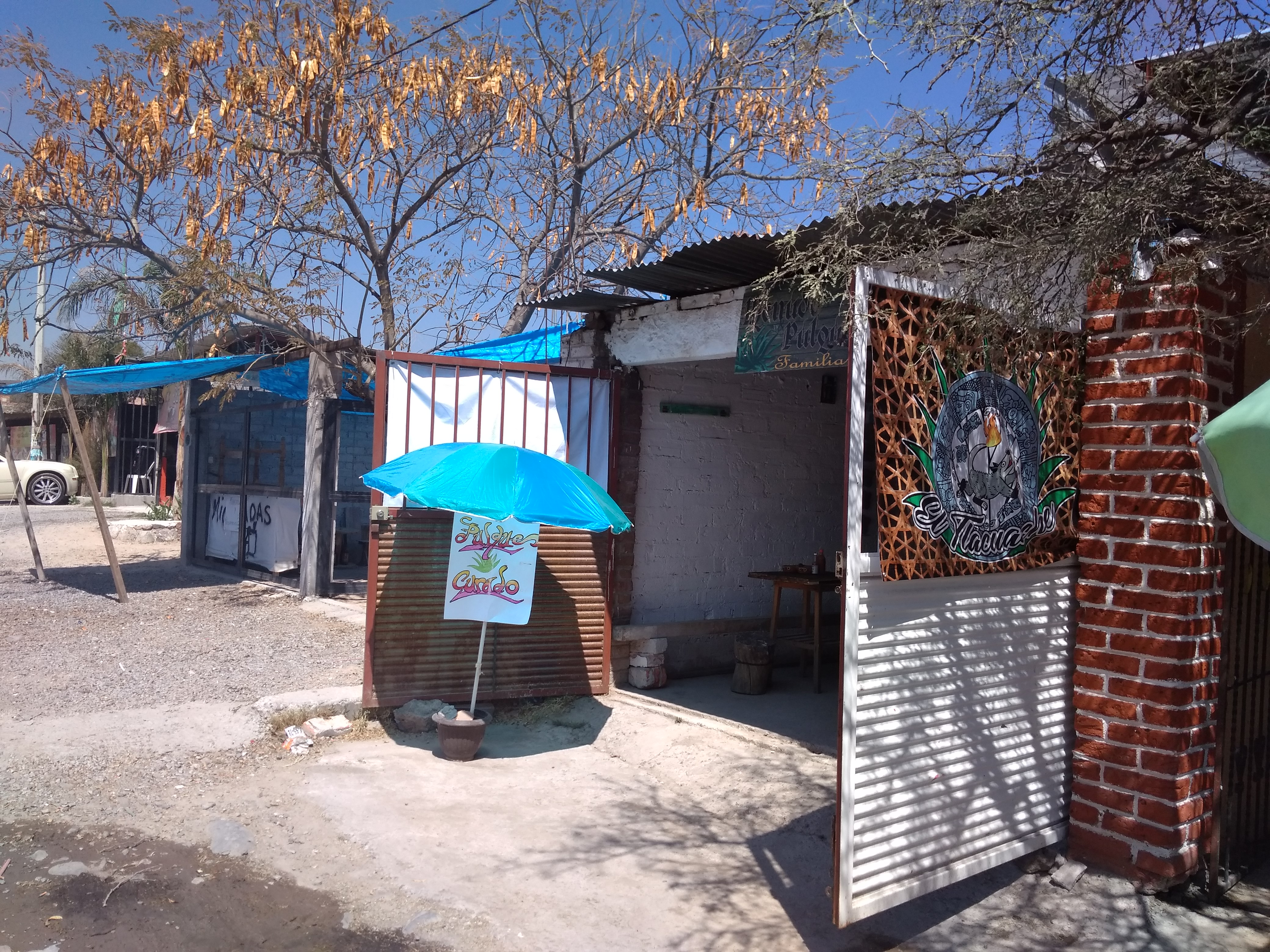 El Tlacuache image 9