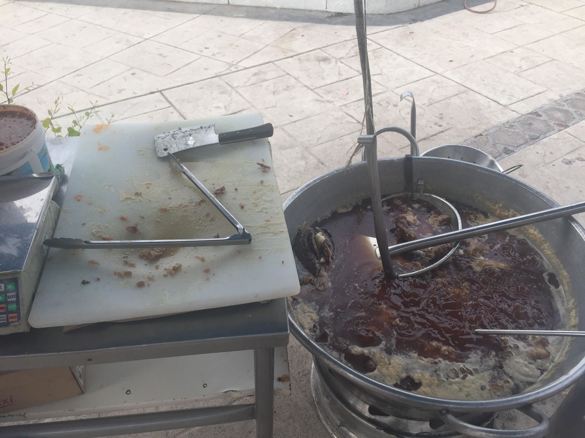 Taquería: "El Sabino" image 9
