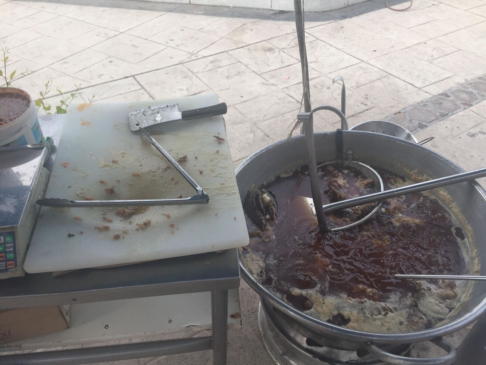 Taquería: "El Sabino" image 9