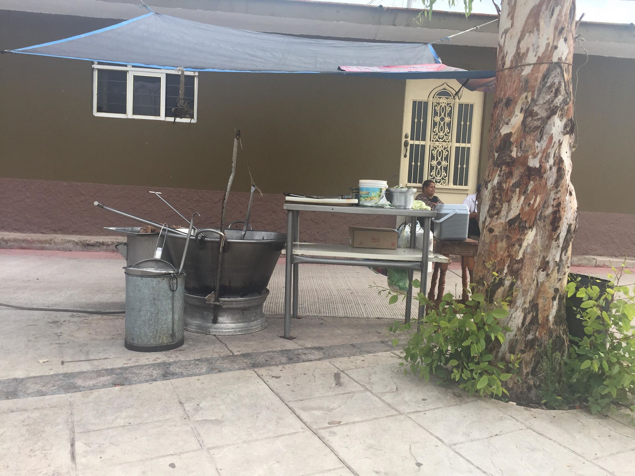Taquería: "El Sabino" image 10