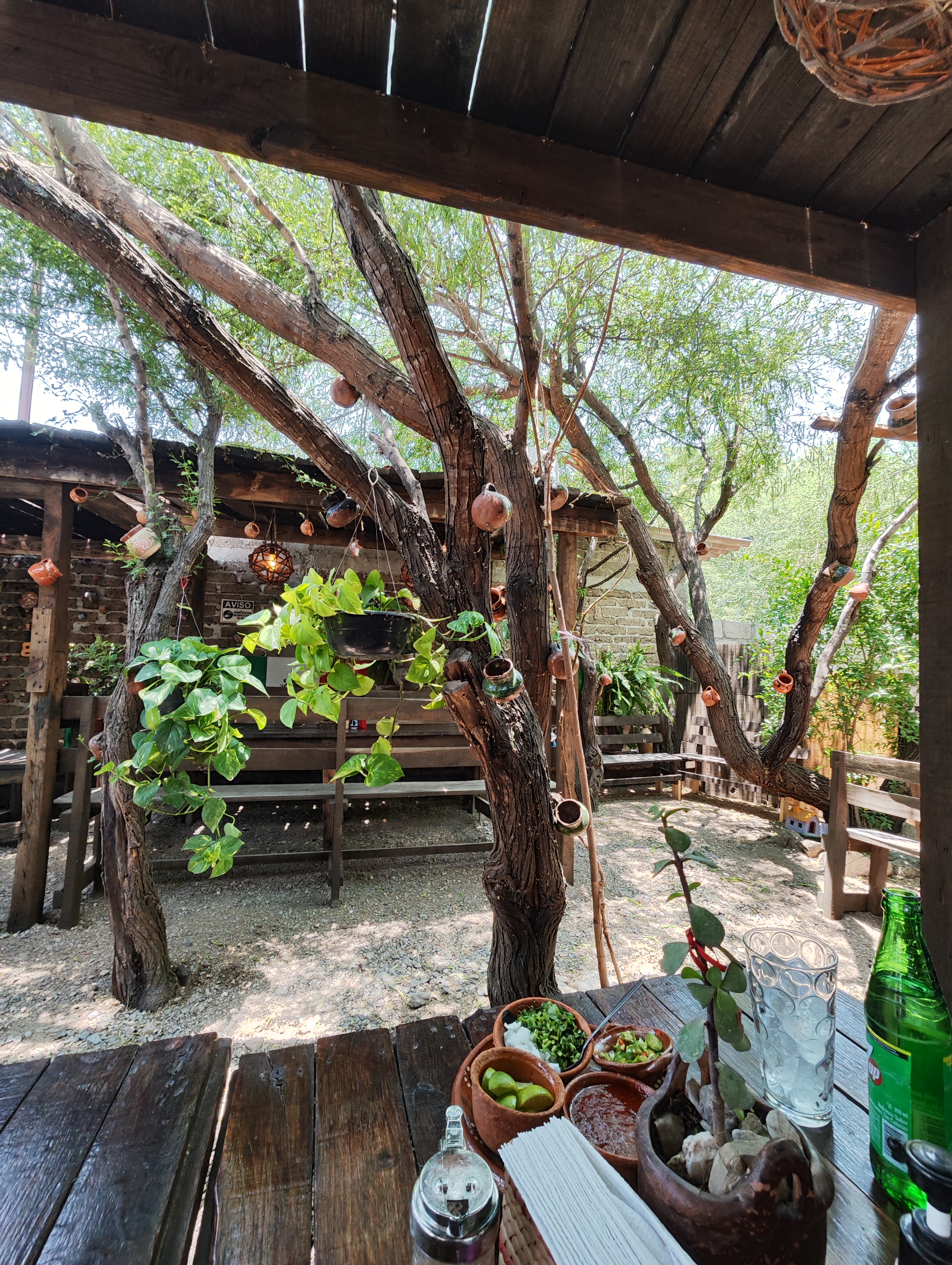 Gorditas La Piramide 100% Maiz Quebrado image 8