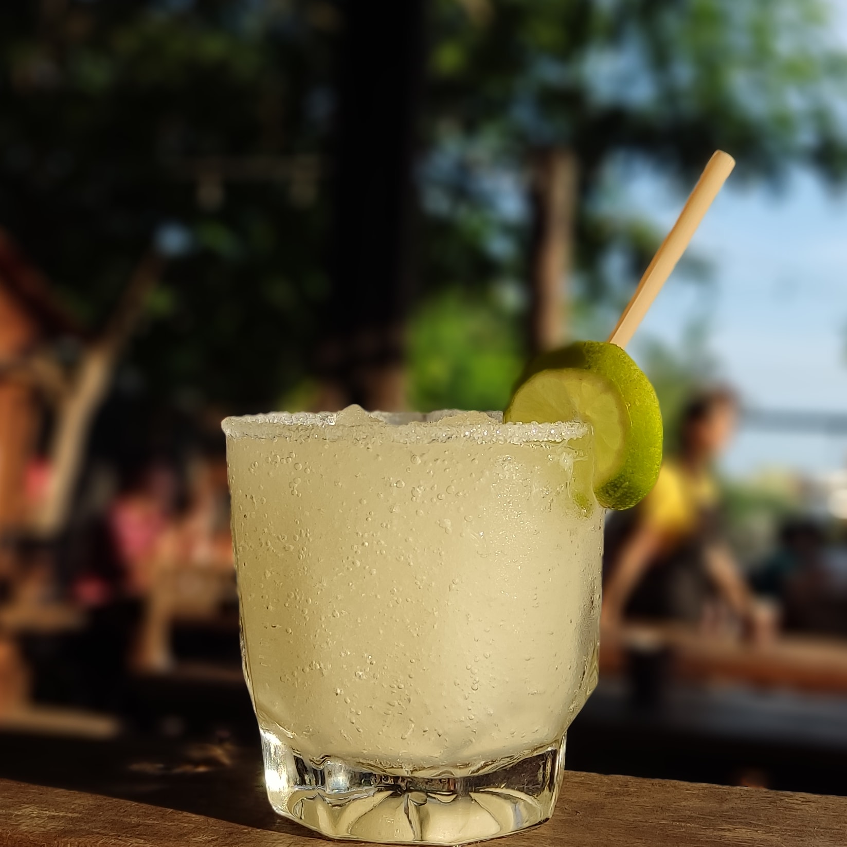 La Bugambilia Plaza image 6