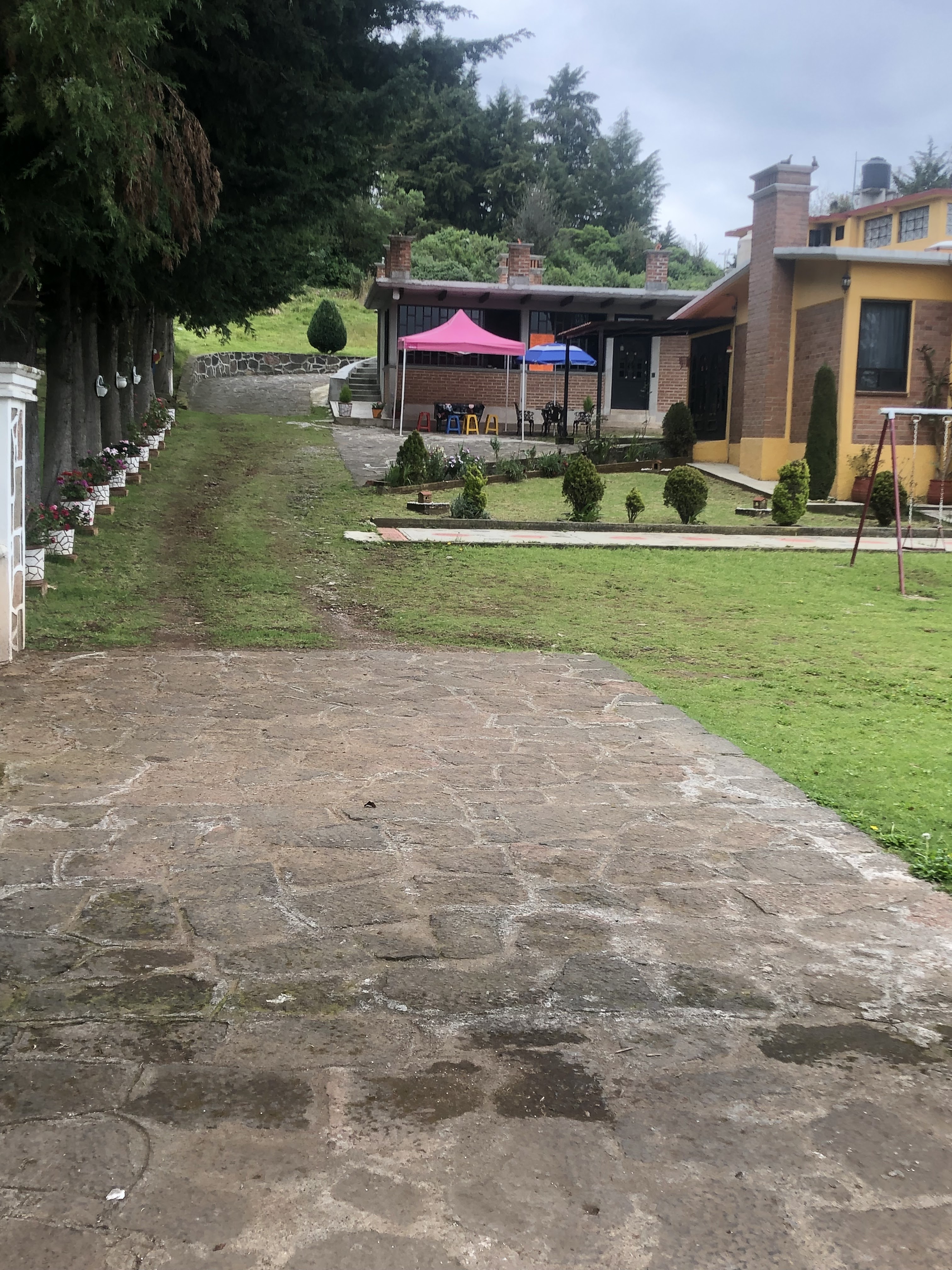 Poncho Burgers y Mas image 9