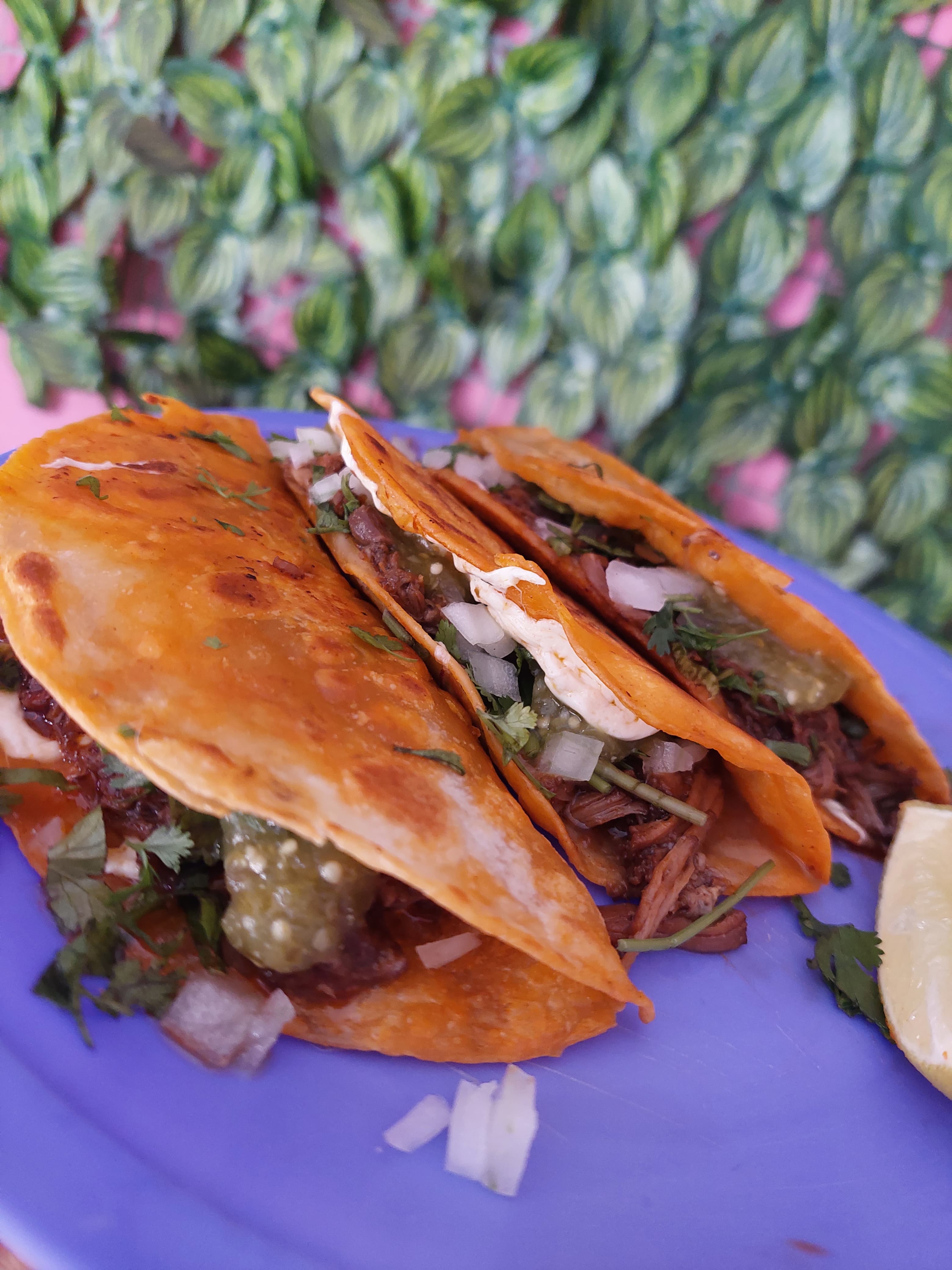 La casa de birria image 2