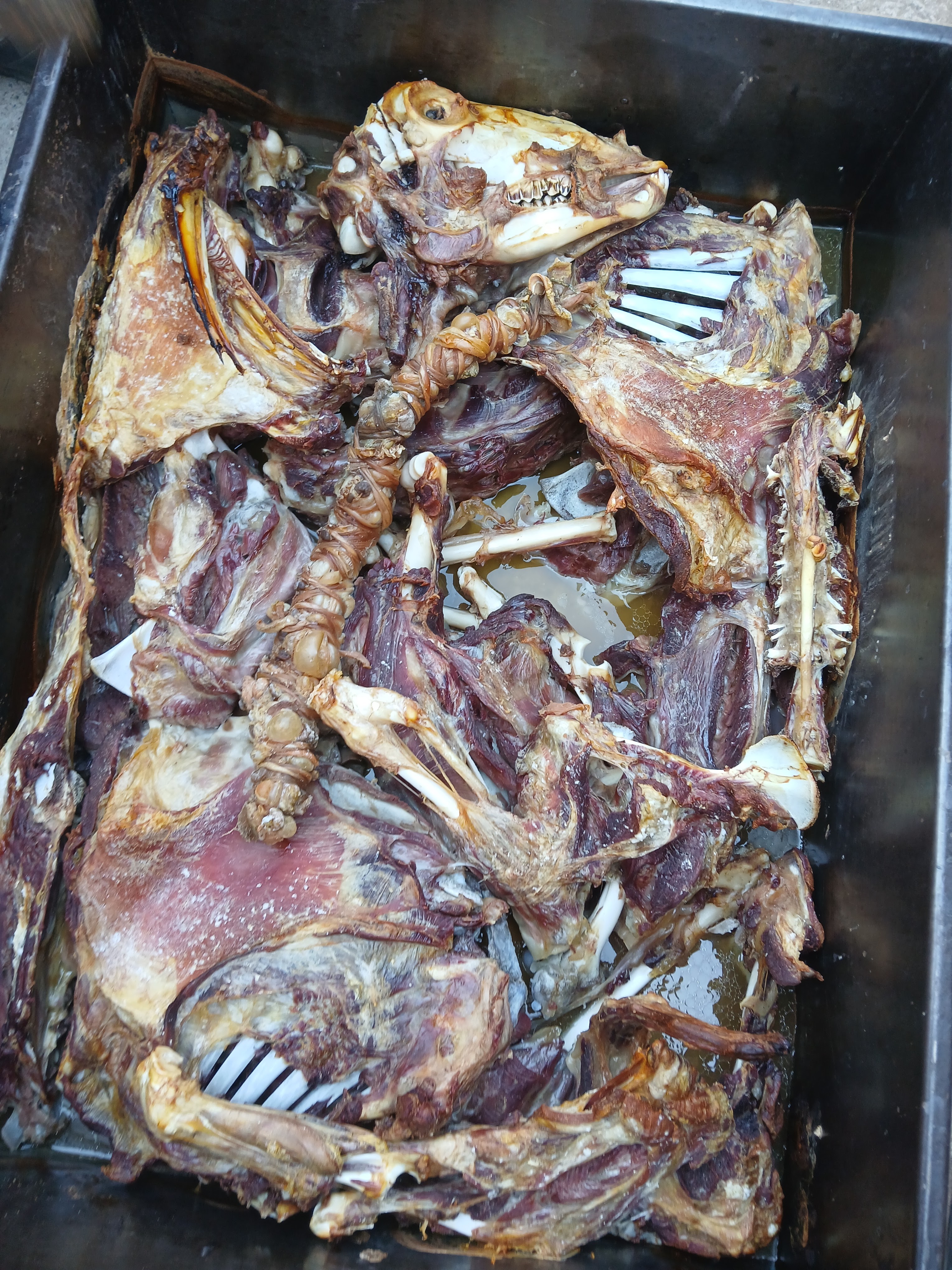 Casa de Birrieria cabadas el piochas image 1