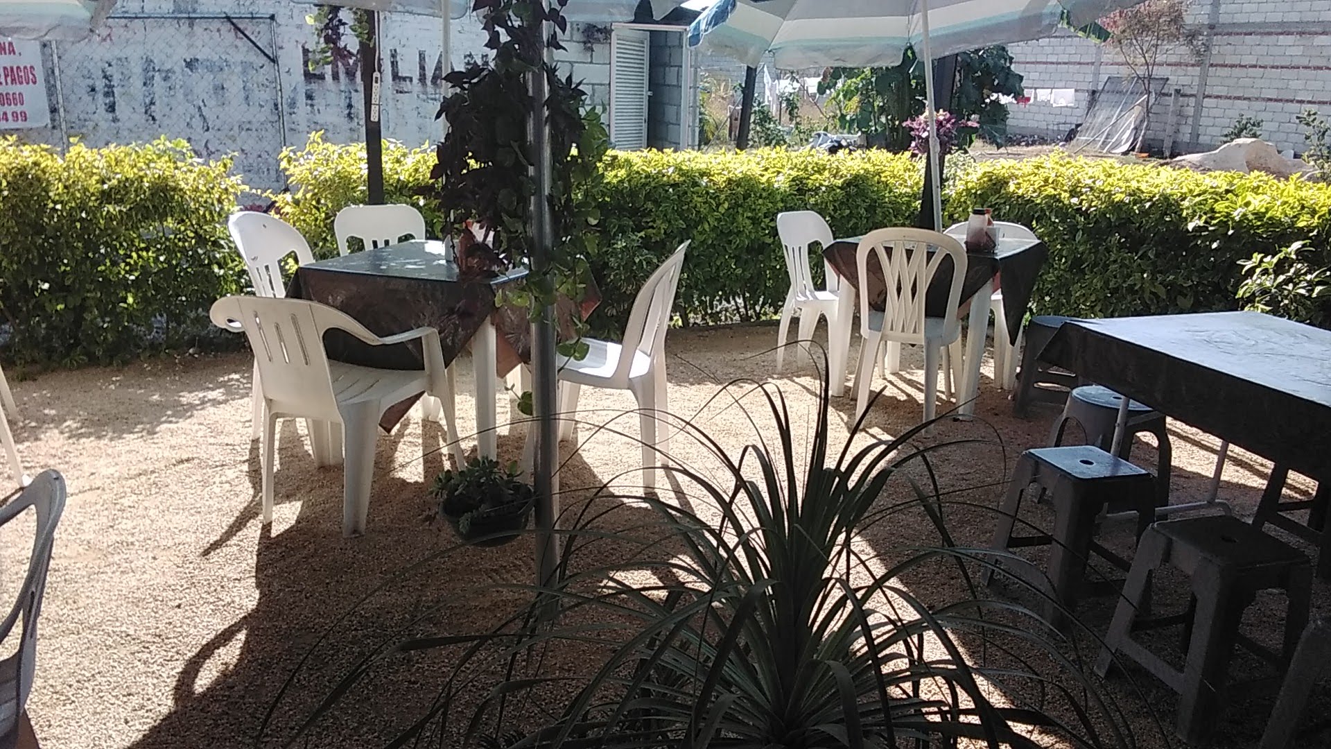 Los García grill costillas bbq image 1