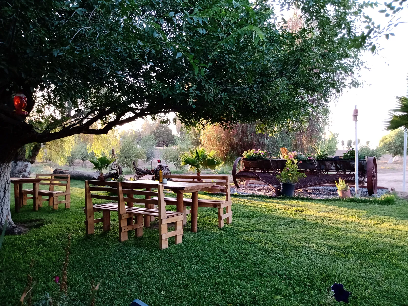 Restaurante Jardín Casian image 3