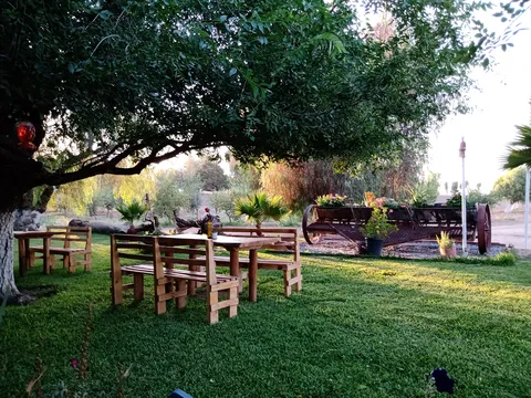 Restaurante Jardín Casian image 3