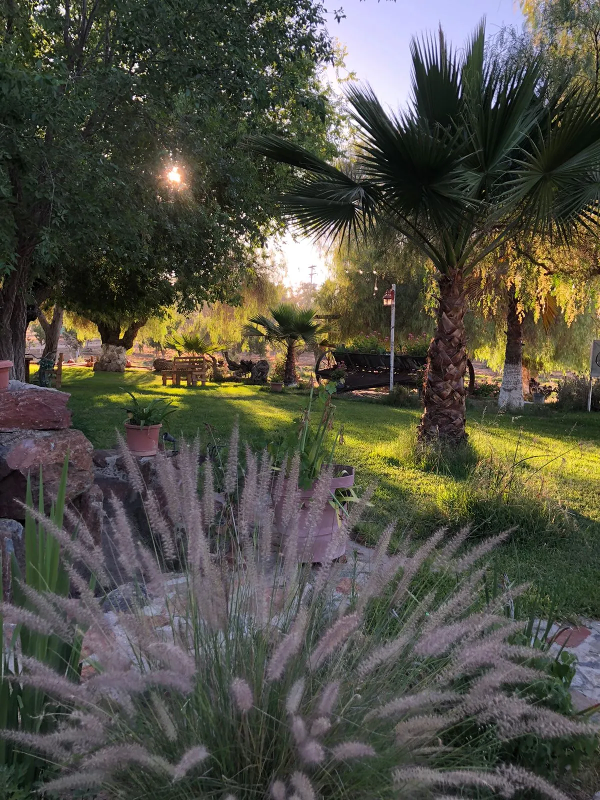 Restaurante Jardín Casian image 6