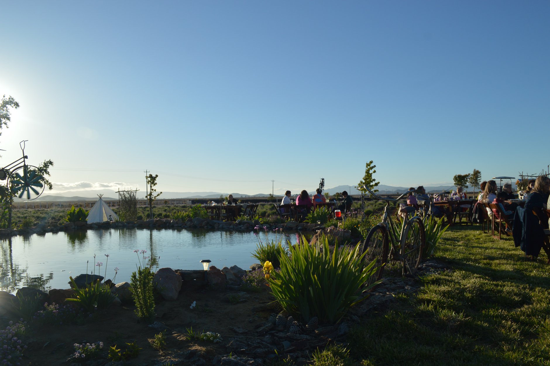 Grosso Restaurante image 3