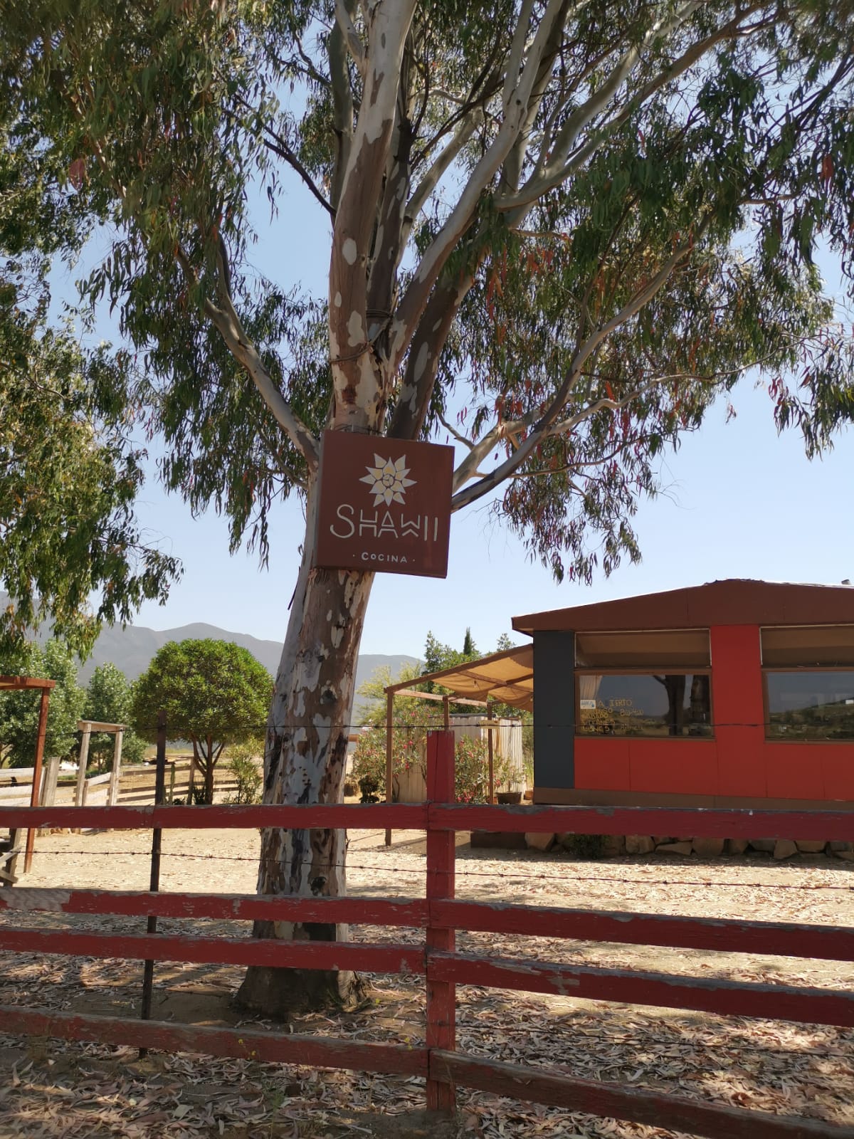 Shawii cocina image 3