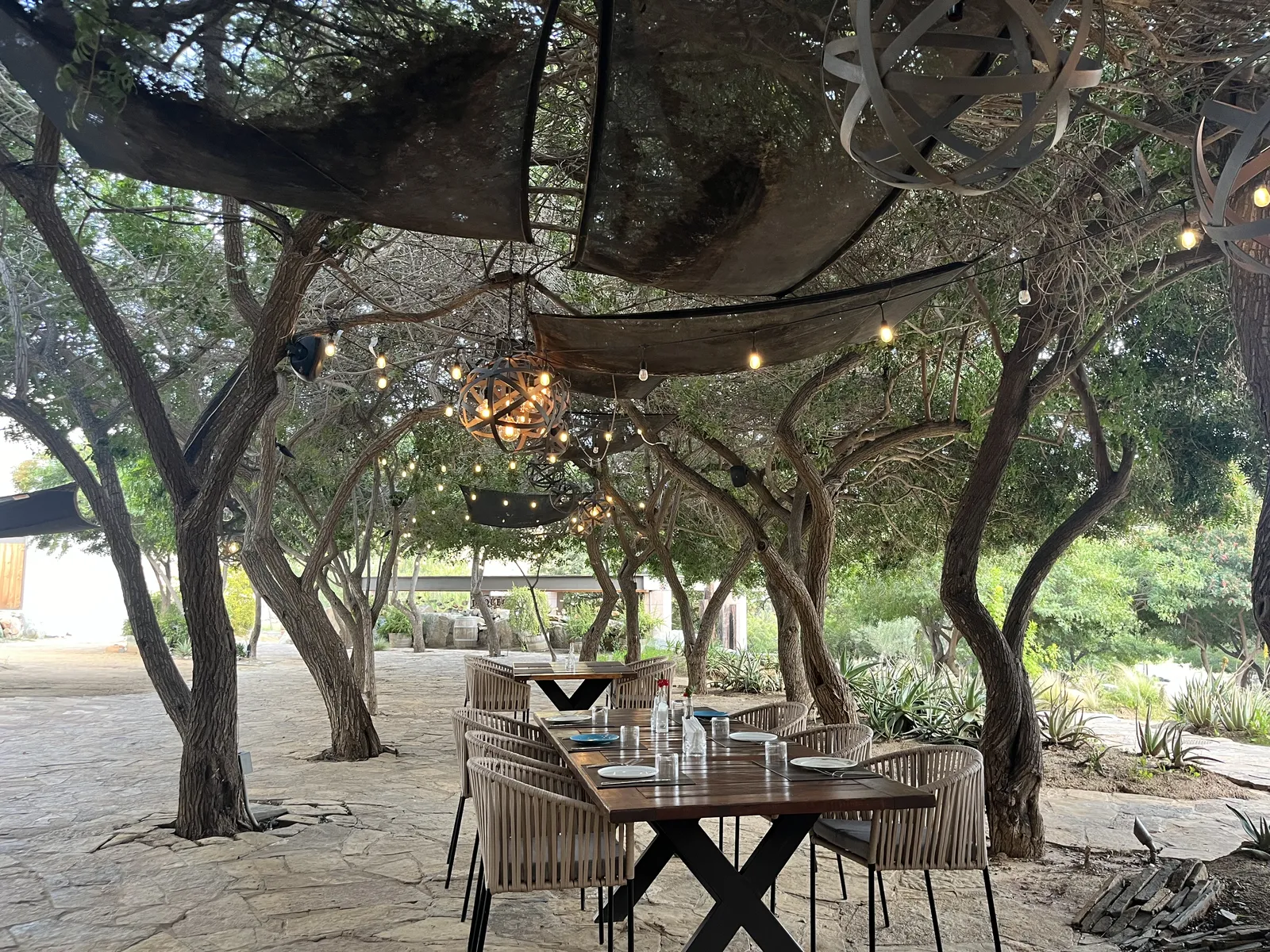 Damiana Restaurant image 1