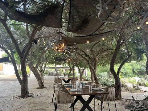Damiana Restaurant image 1