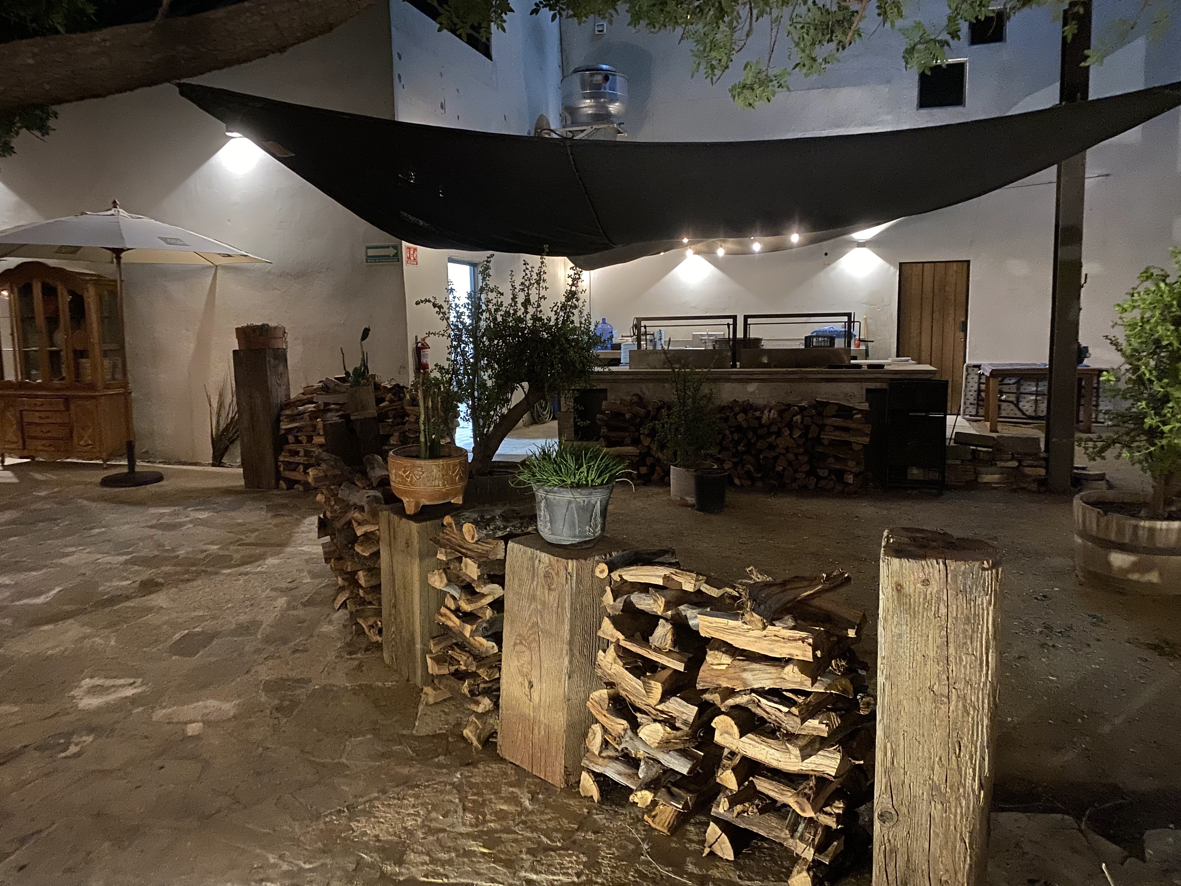 Damiana Restaurant image 2