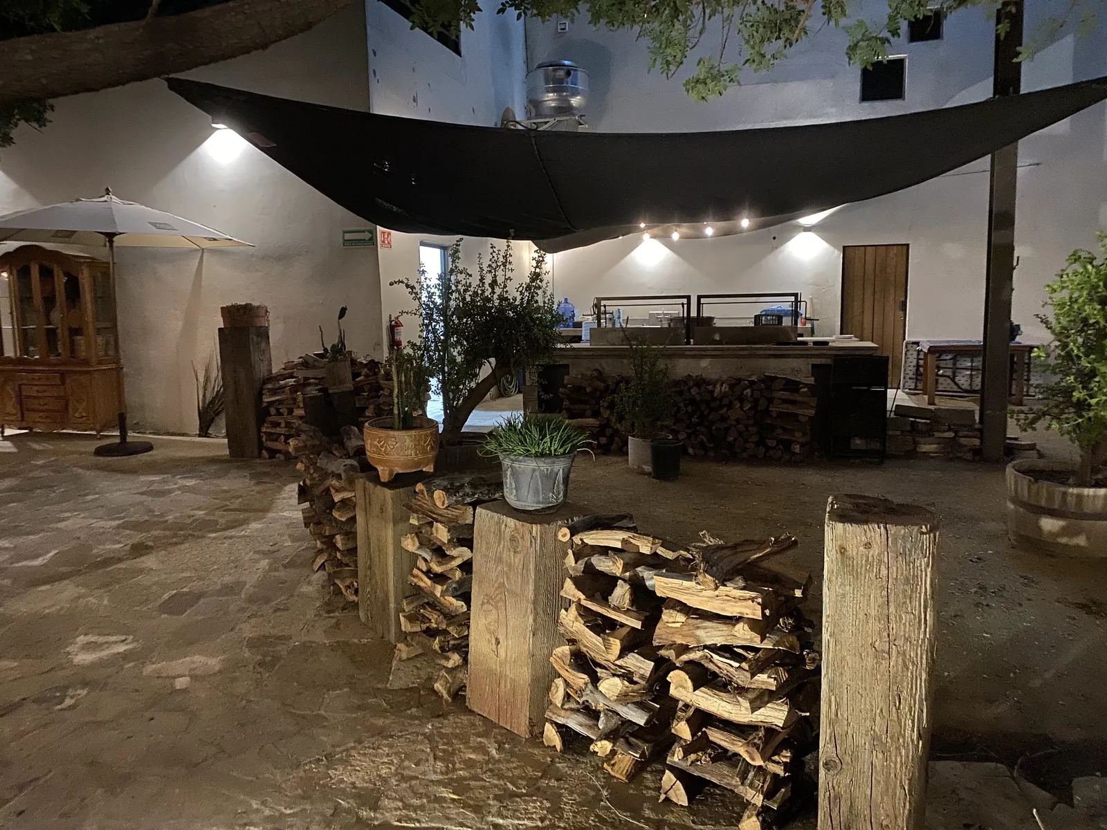 Damiana Restaurant image 2