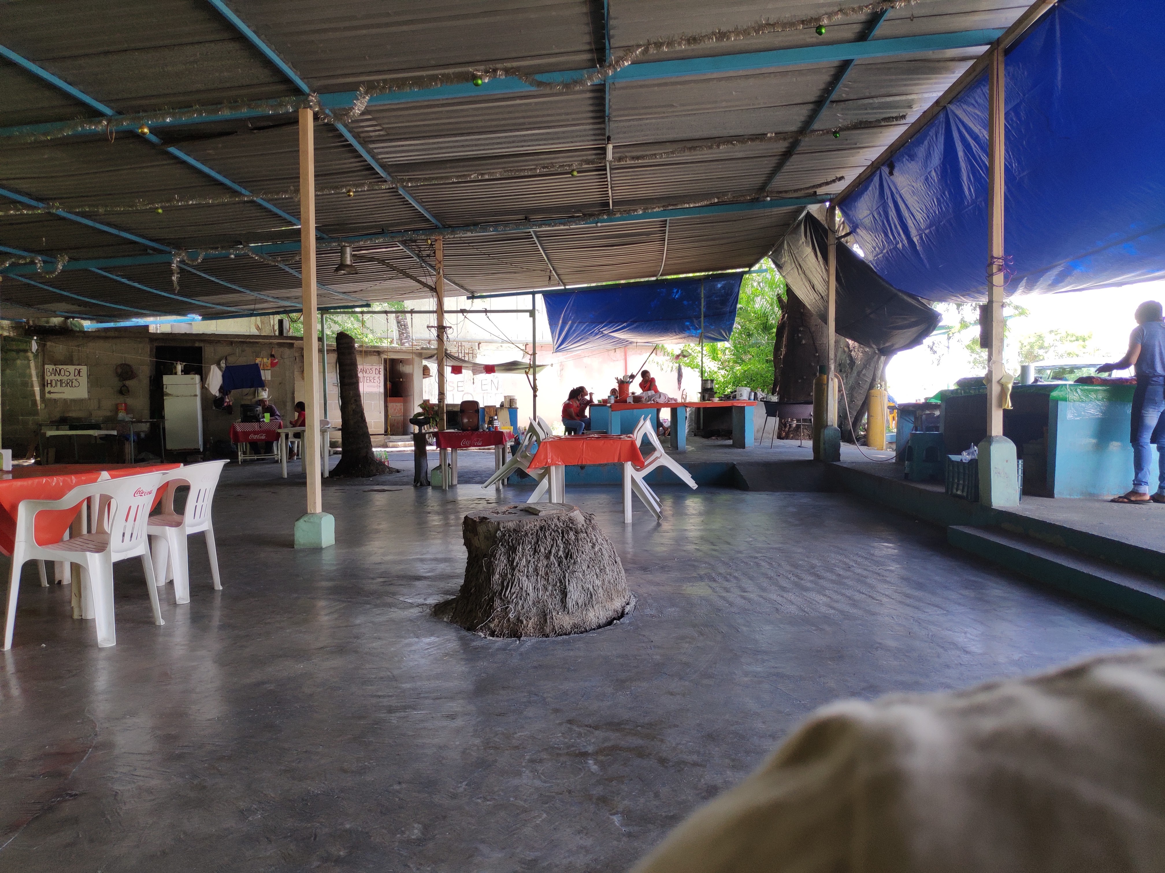 Carne de Yecapixtla image 1