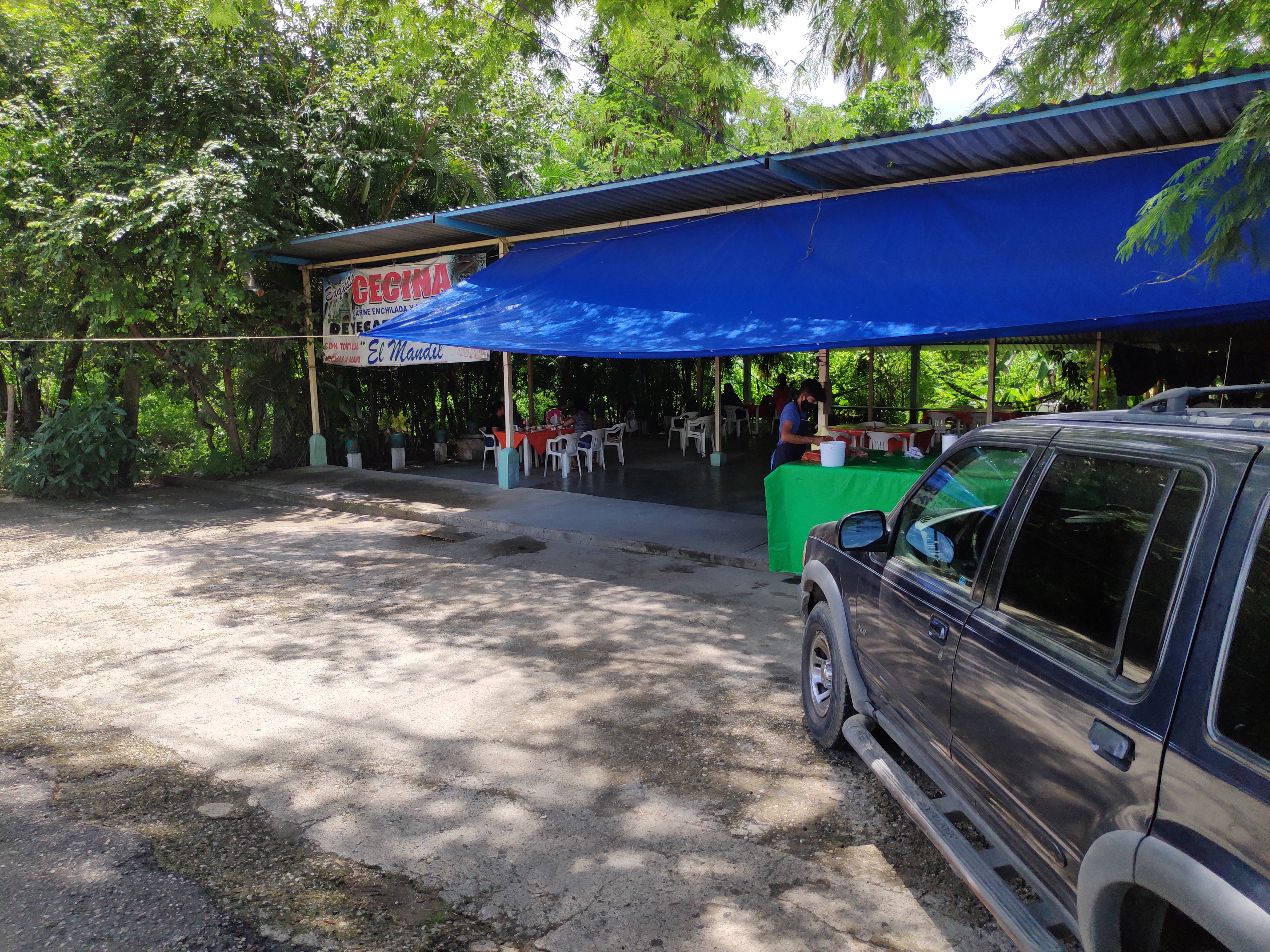 Carne de Yecapixtla image 3