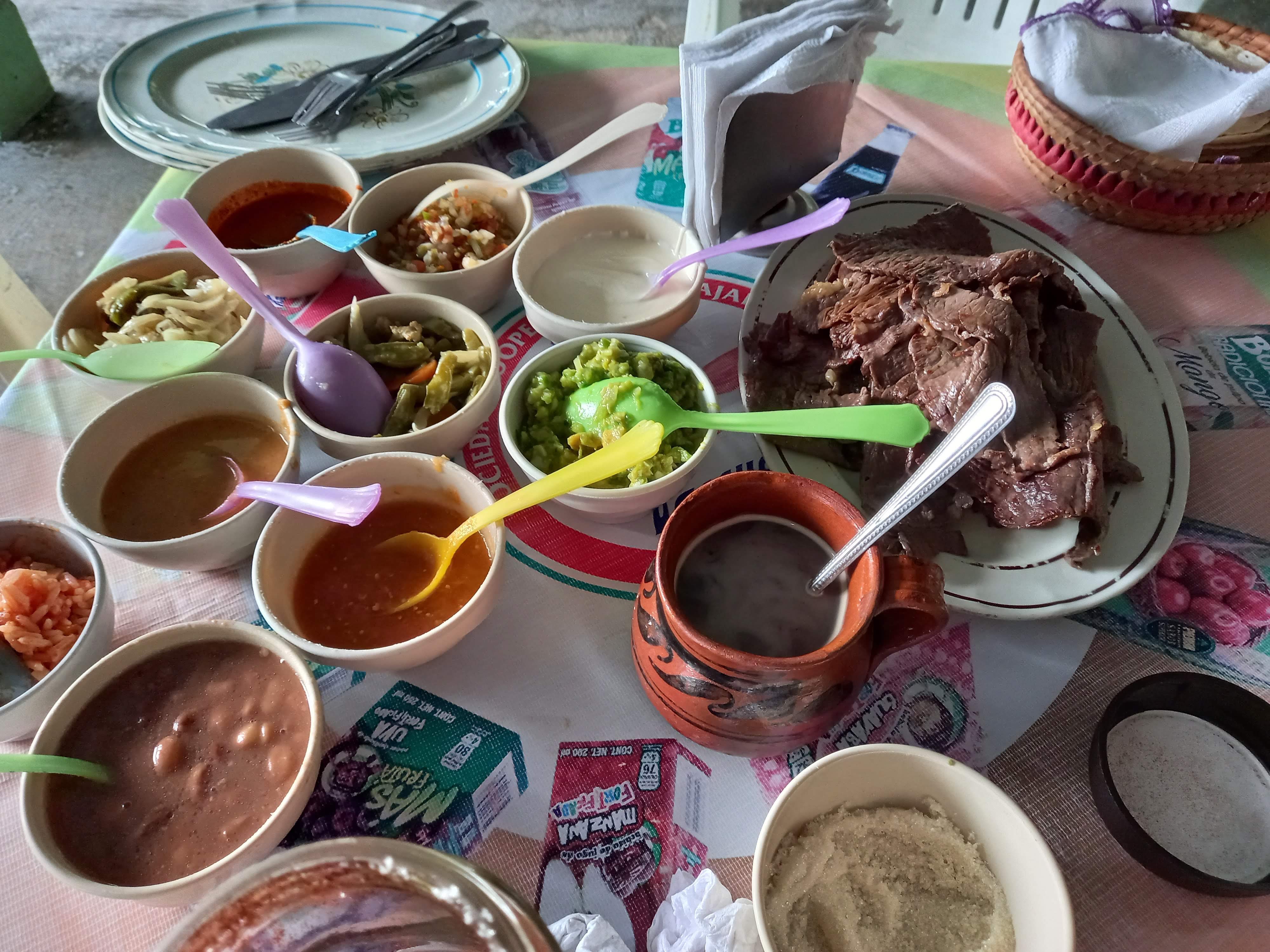 Carne de Yecapixtla image 4