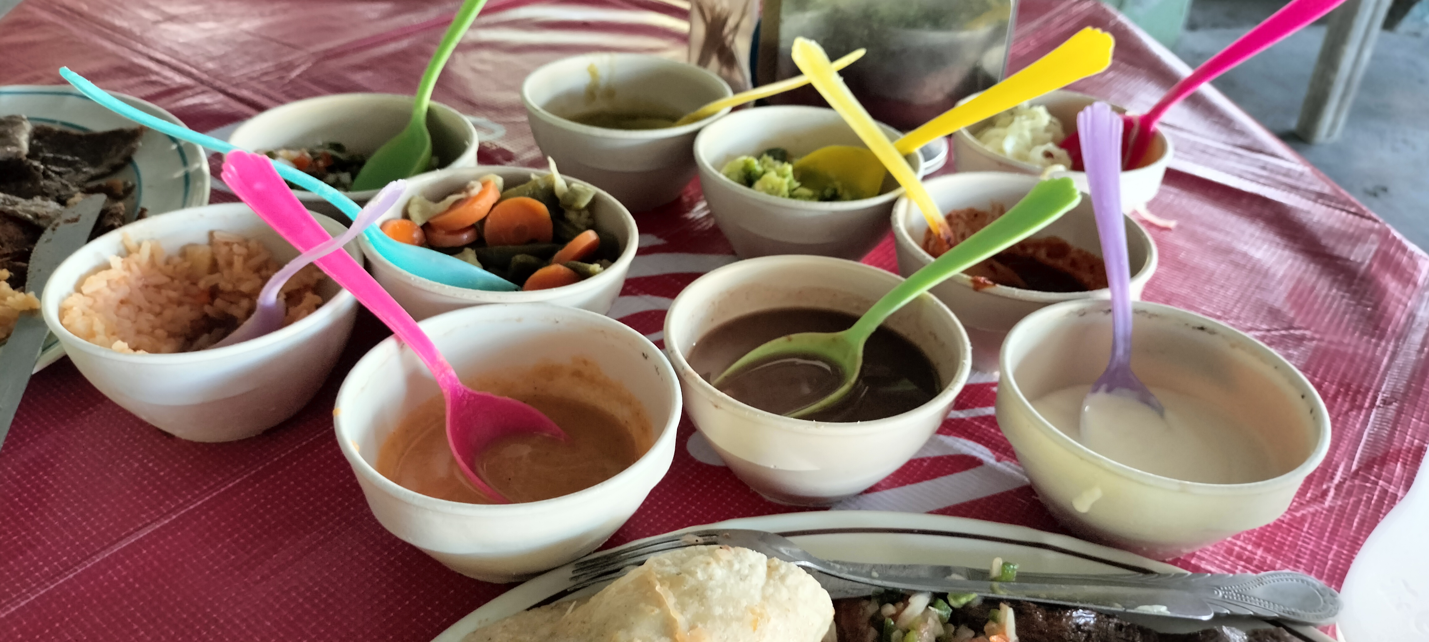 Carne de Yecapixtla image 5