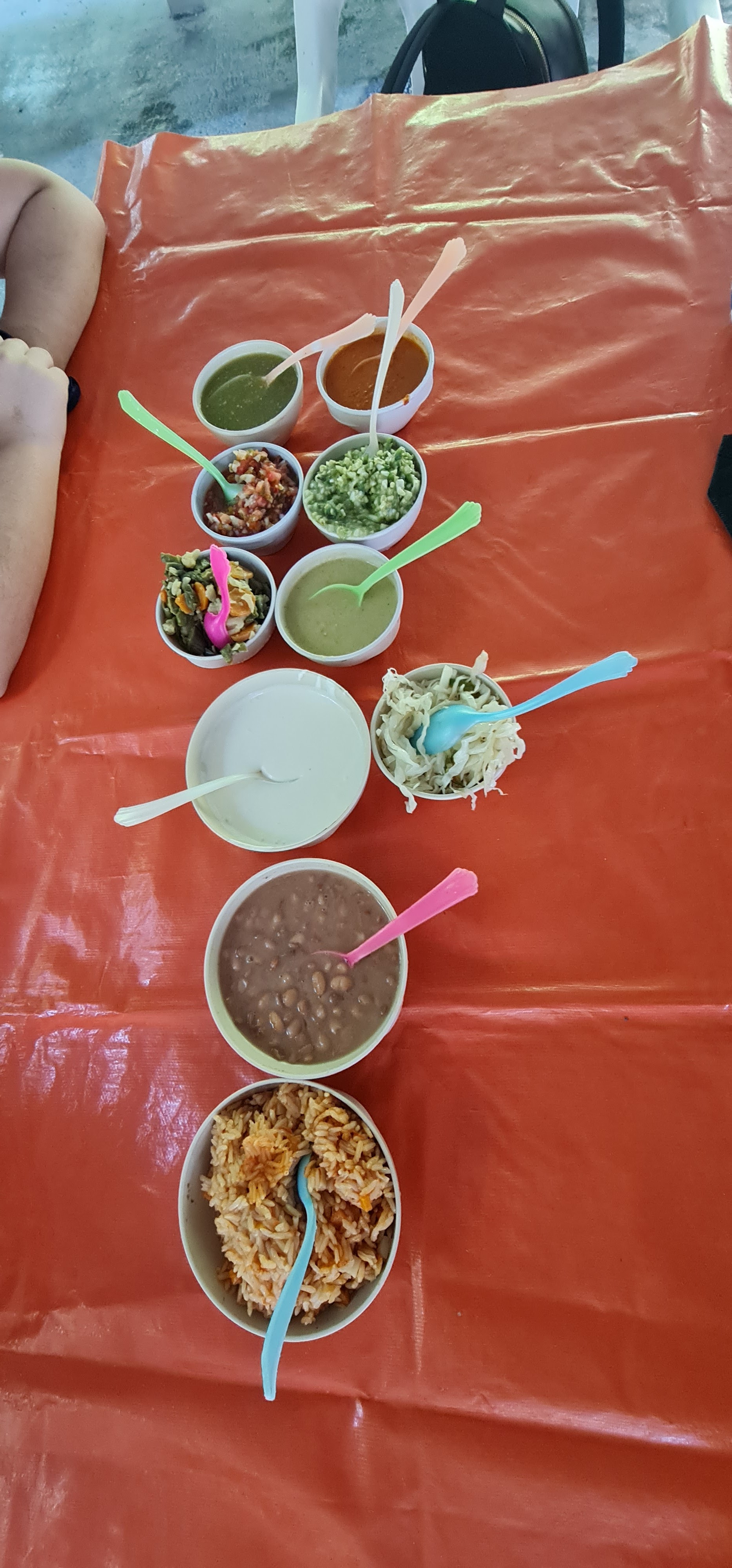 Carne de Yecapixtla image 10