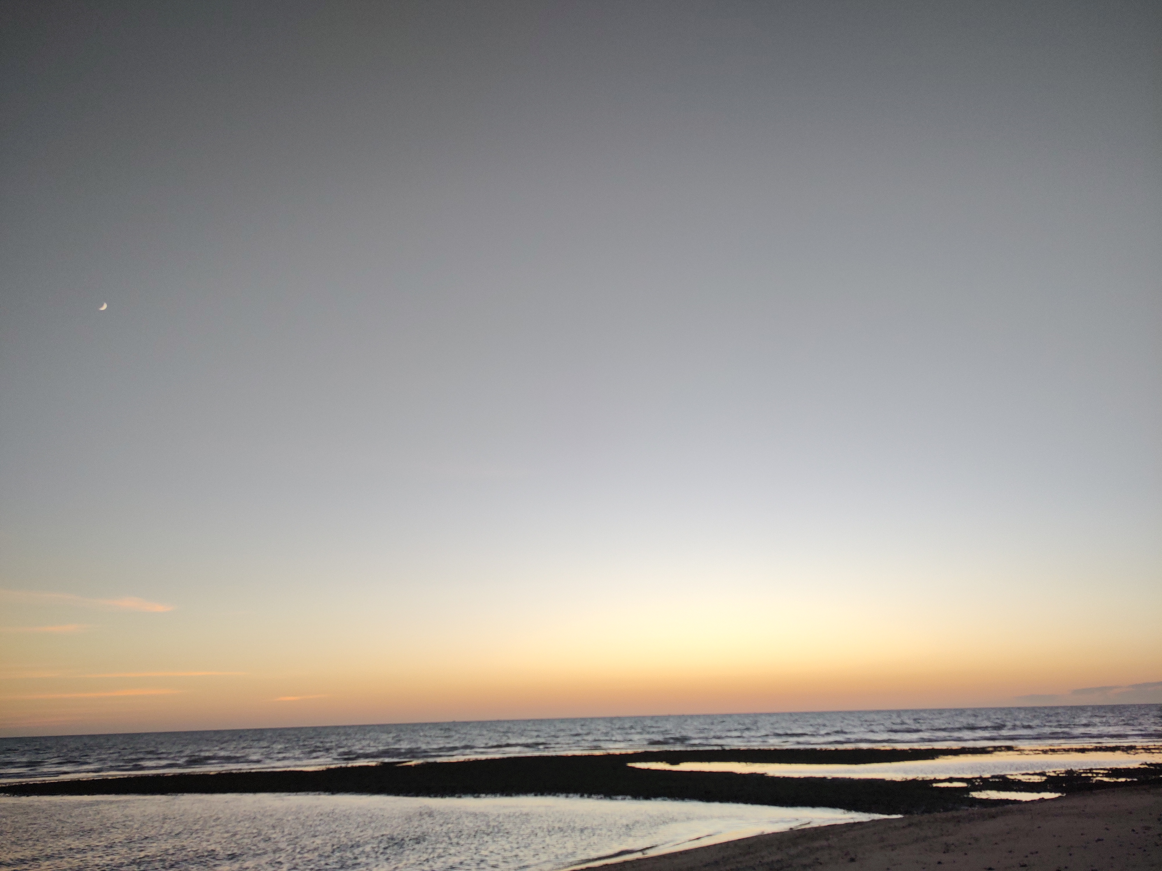 Mariscos Los Plebes image 6