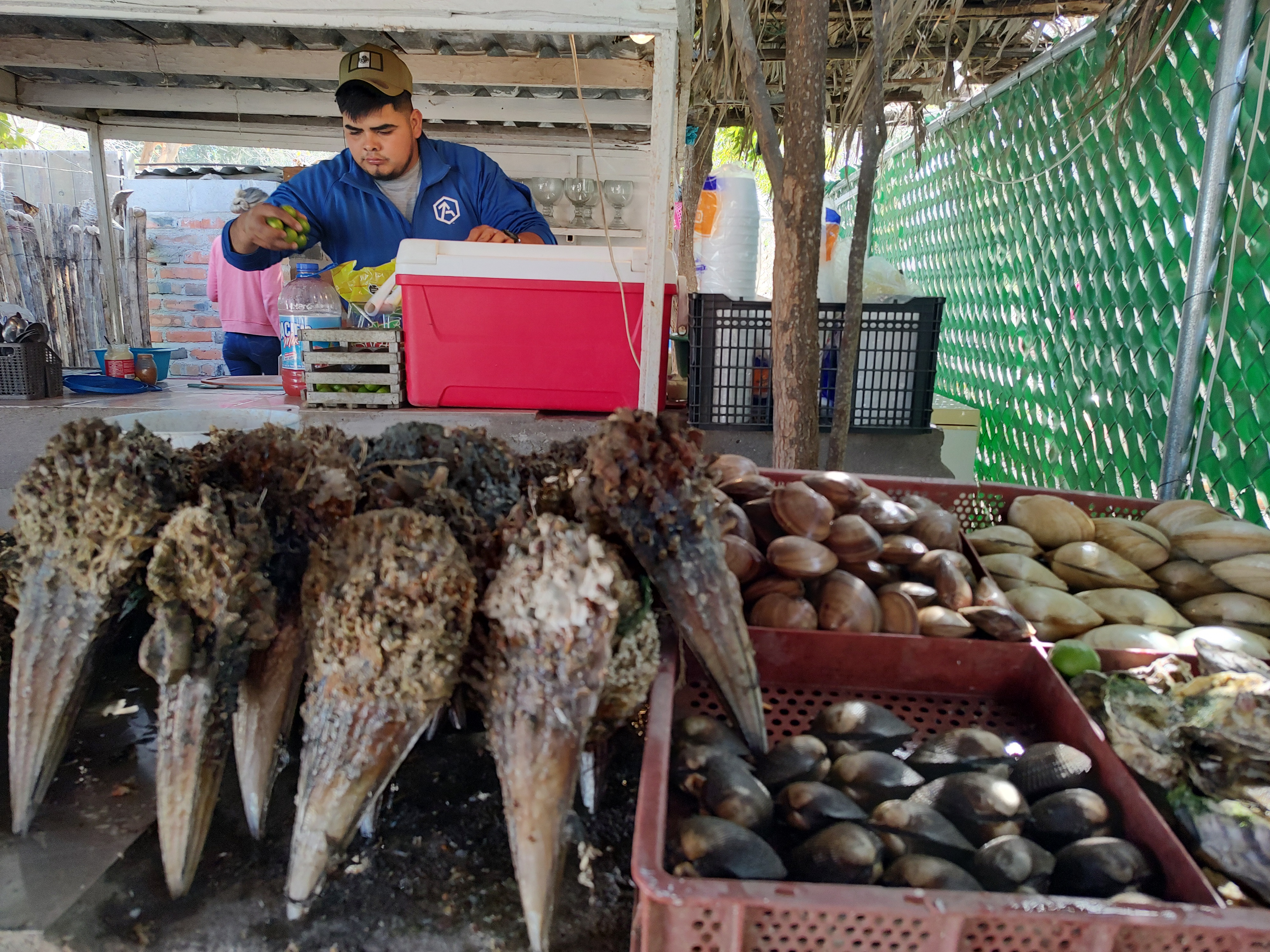 Mariscos Los Plebes image 8