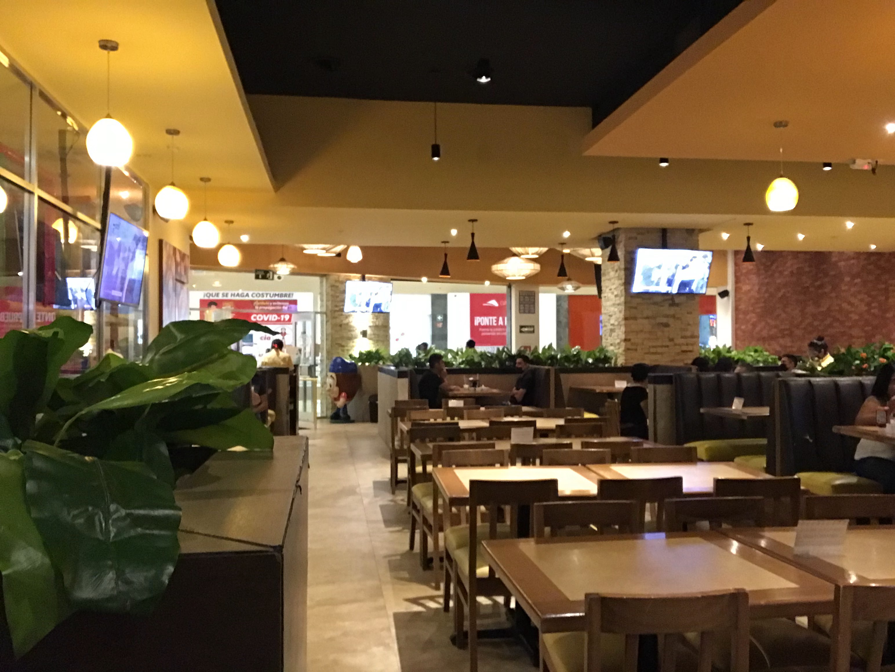 Los Trompos Campeche. image 3