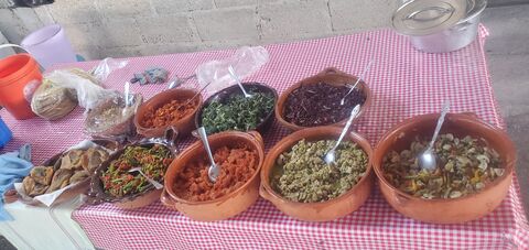 Doña mari comida casera rica barbacoa y pancita de res gorditas de guisos y una variedad de bebidas incluyendo el rico pulque image 4