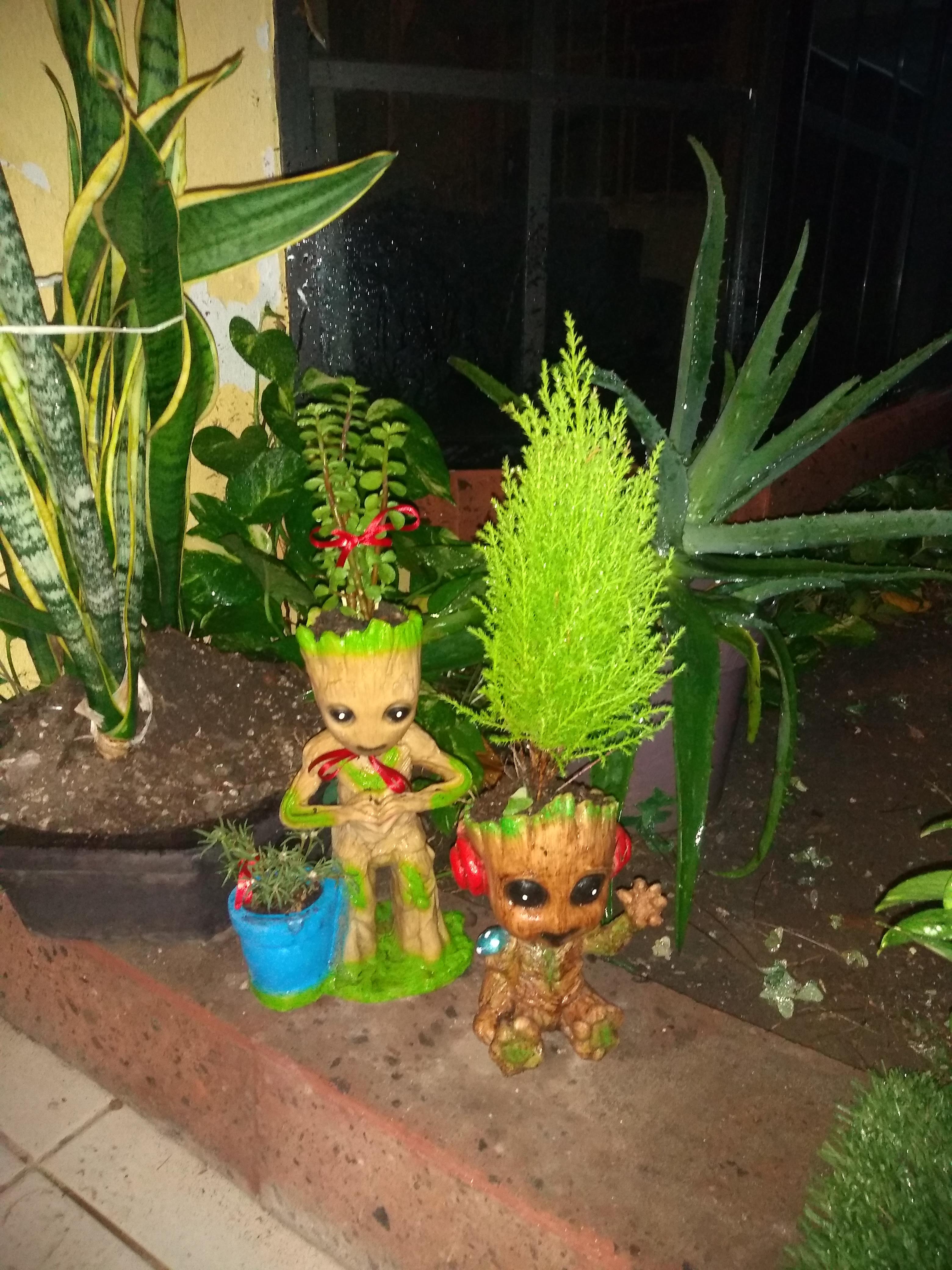 El Samborcito de Margot image 8