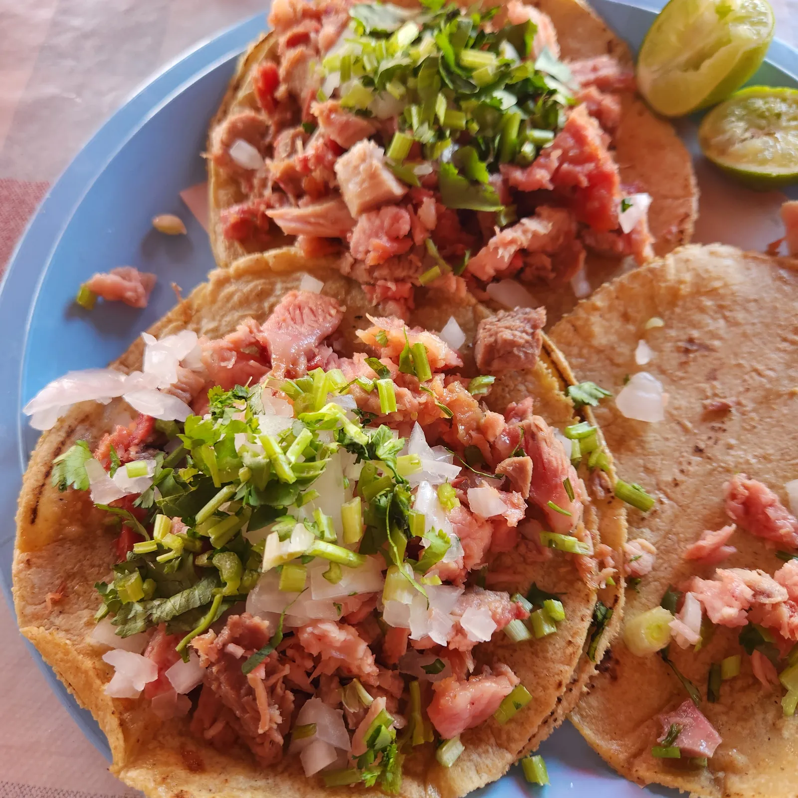 Carnitas Selene image 2