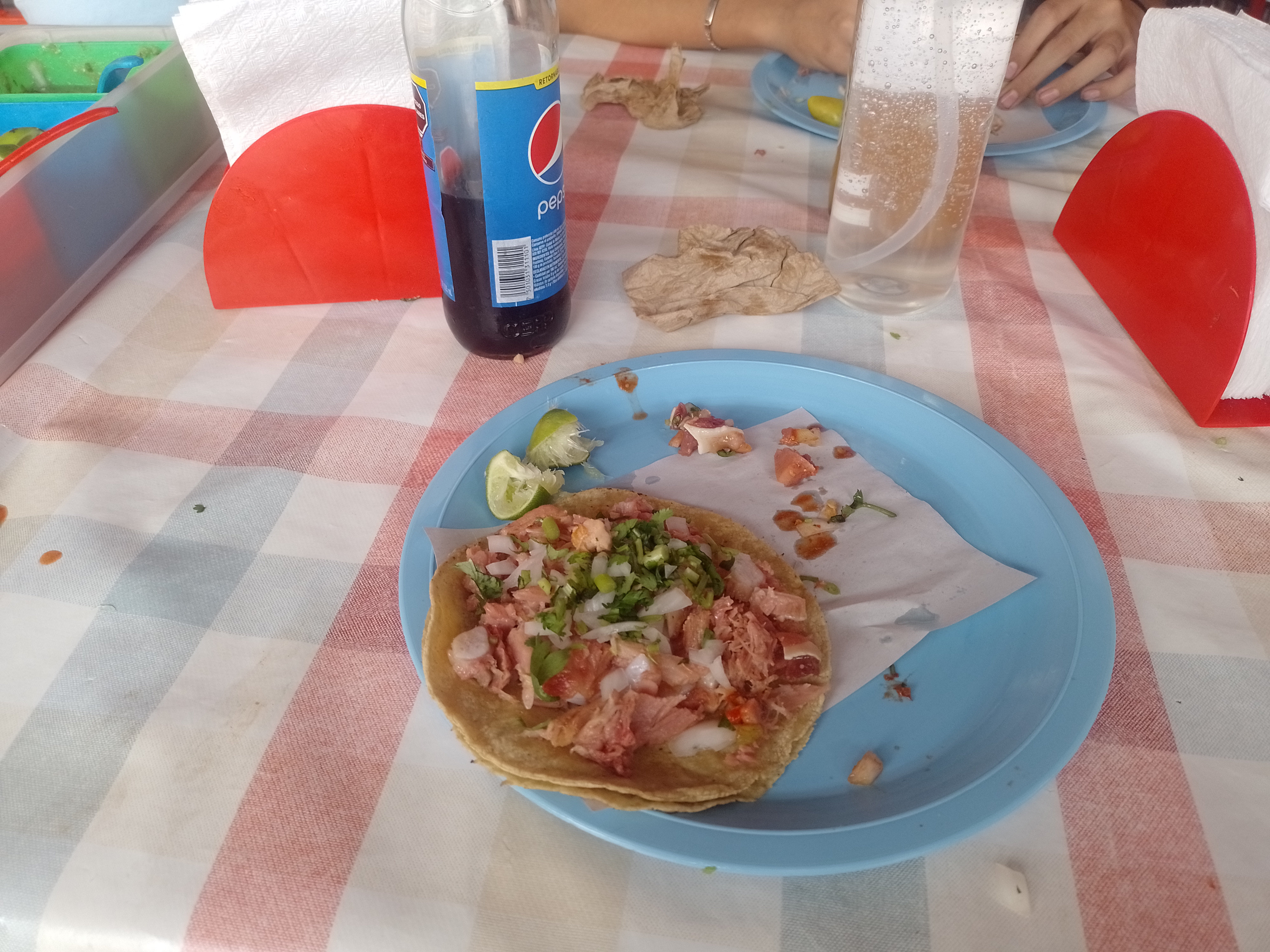 Carnitas Selene image 3