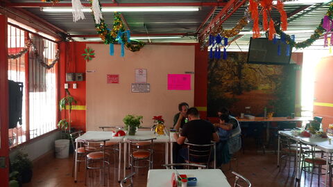 Carnitas Selene image 5