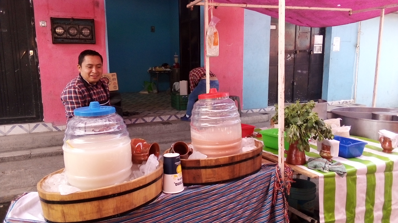 Pulques, micheladas y tacos "Los Jarritos" image 1