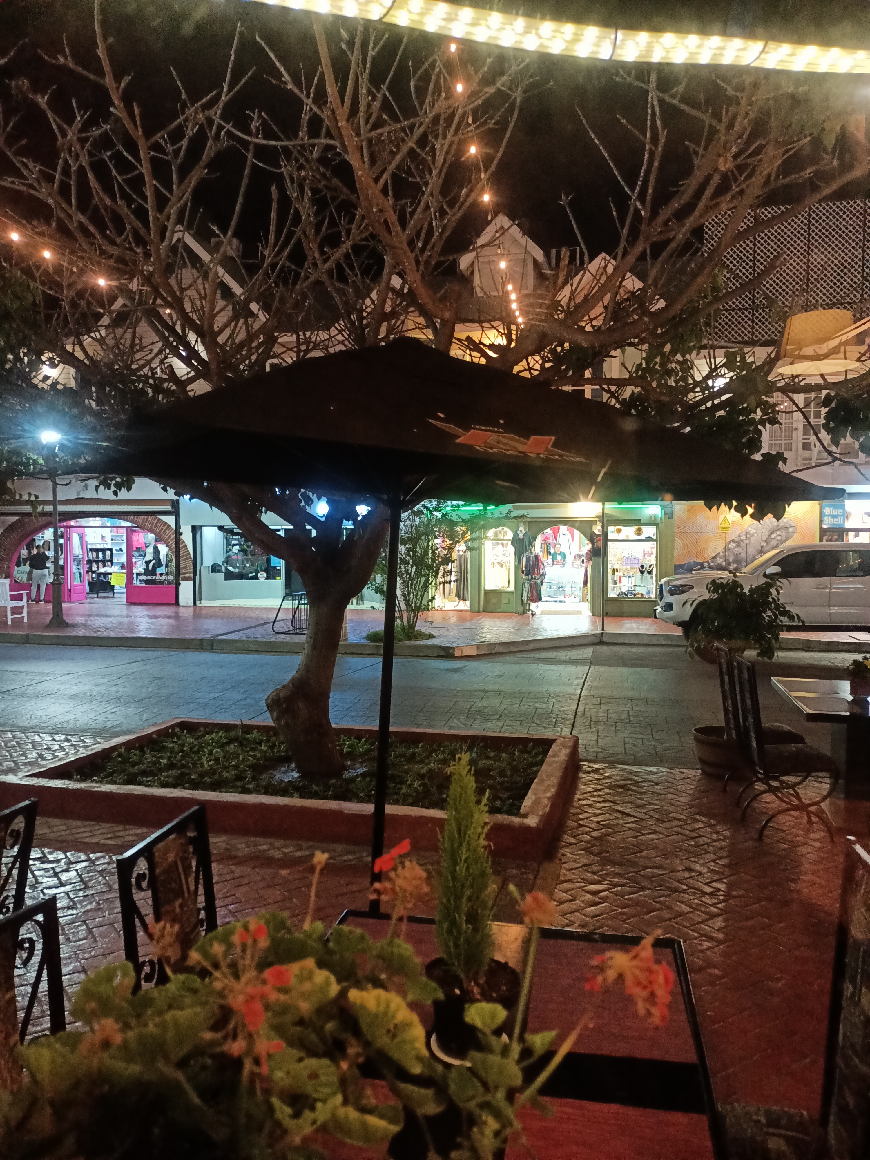 El Cid Restaurante image 4