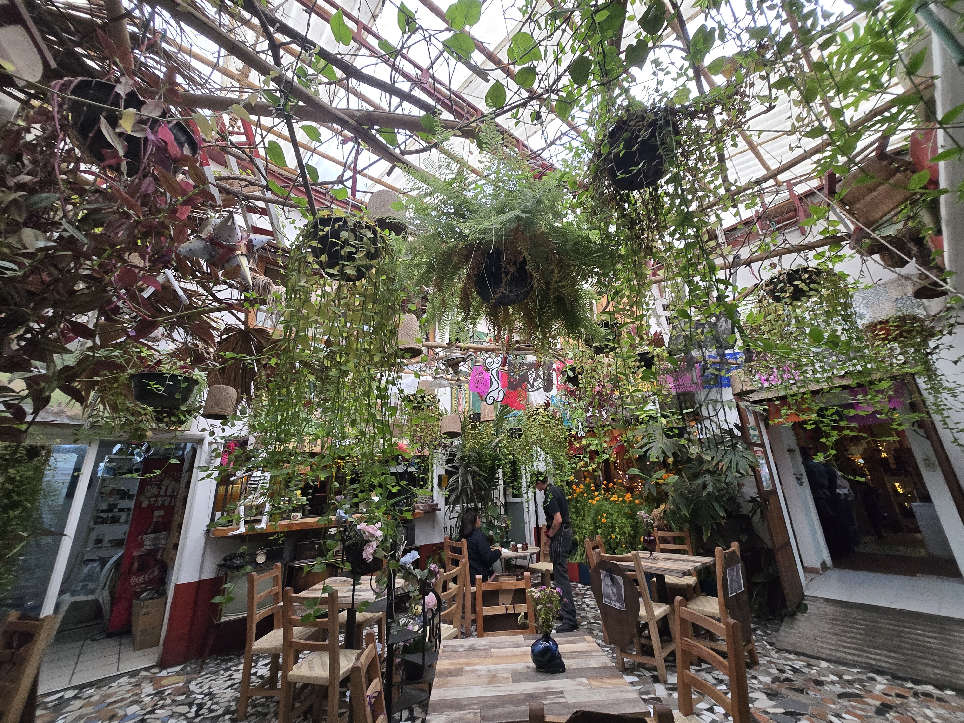 La Tiendita de la esquina image 7