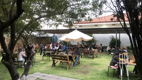Las Margaritas Beer Garden image 1