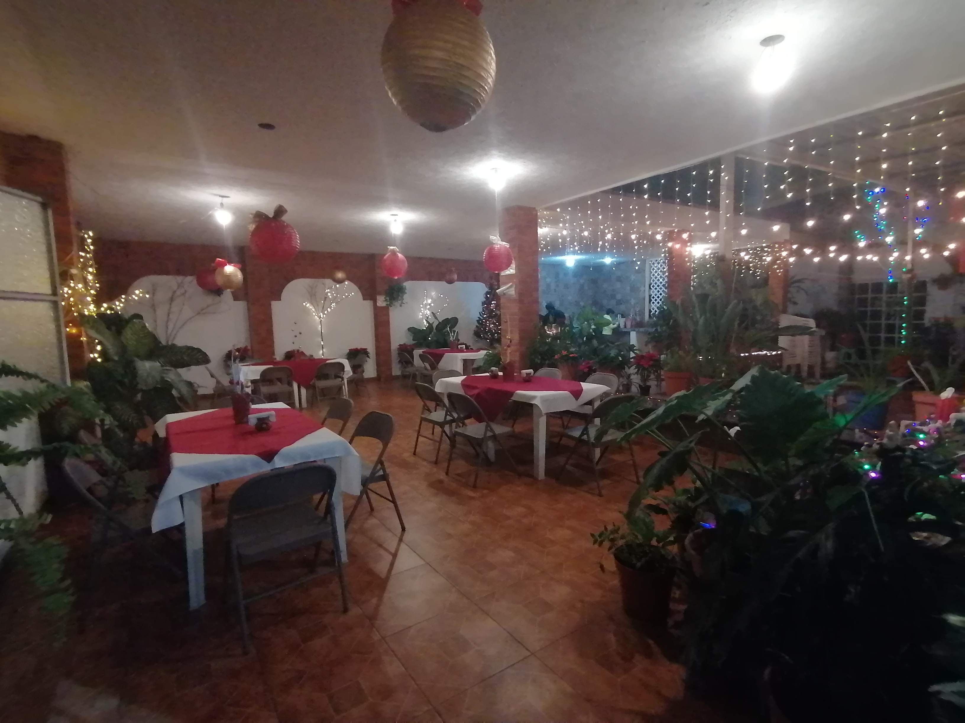 El solecito de simon image 9