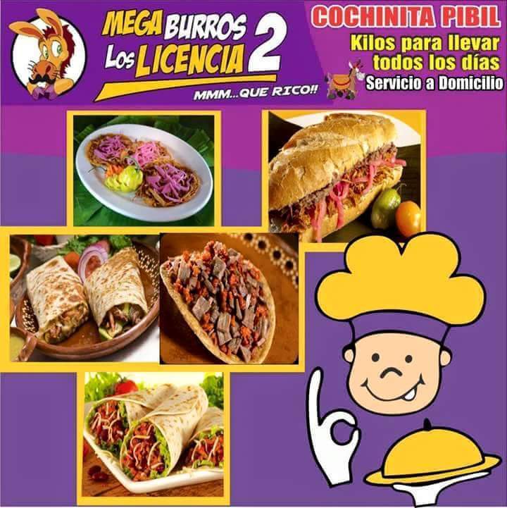 MEGABURROS LOS LICENCIA2 image 3
