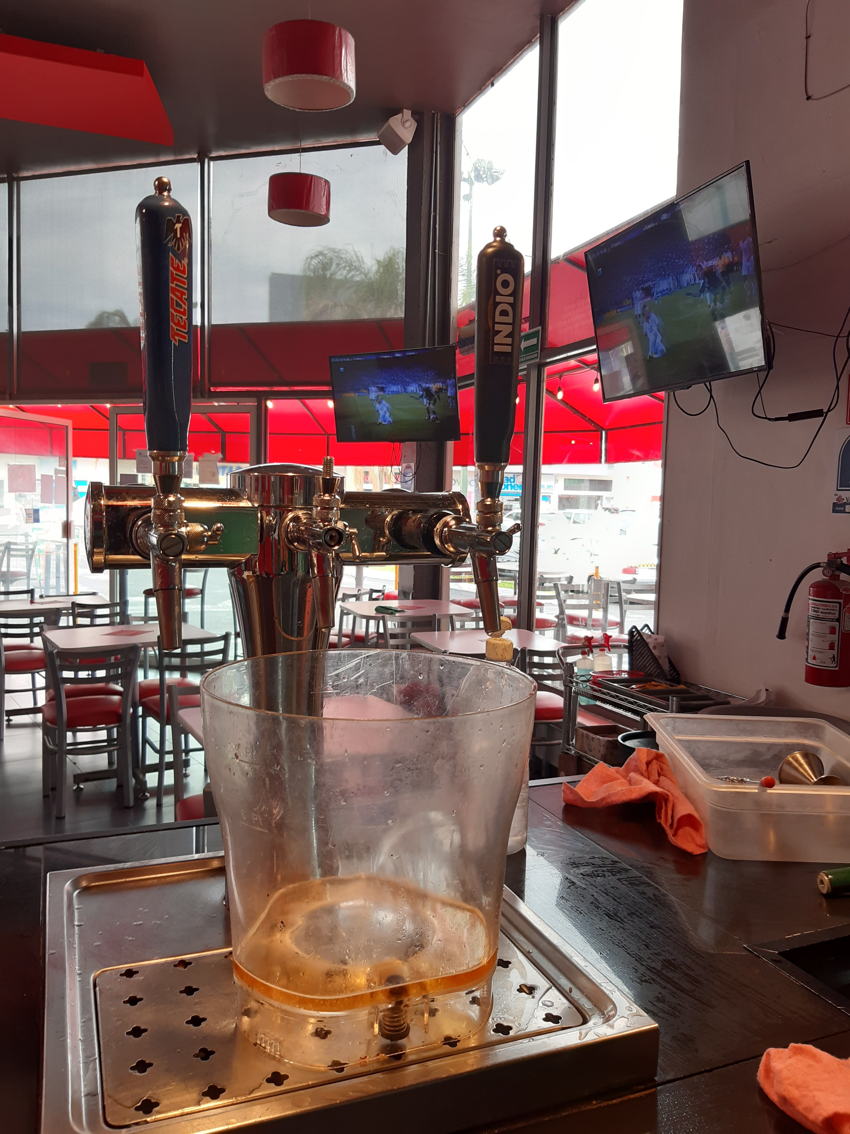 Vancouver Wings Sta. Catarina image 6