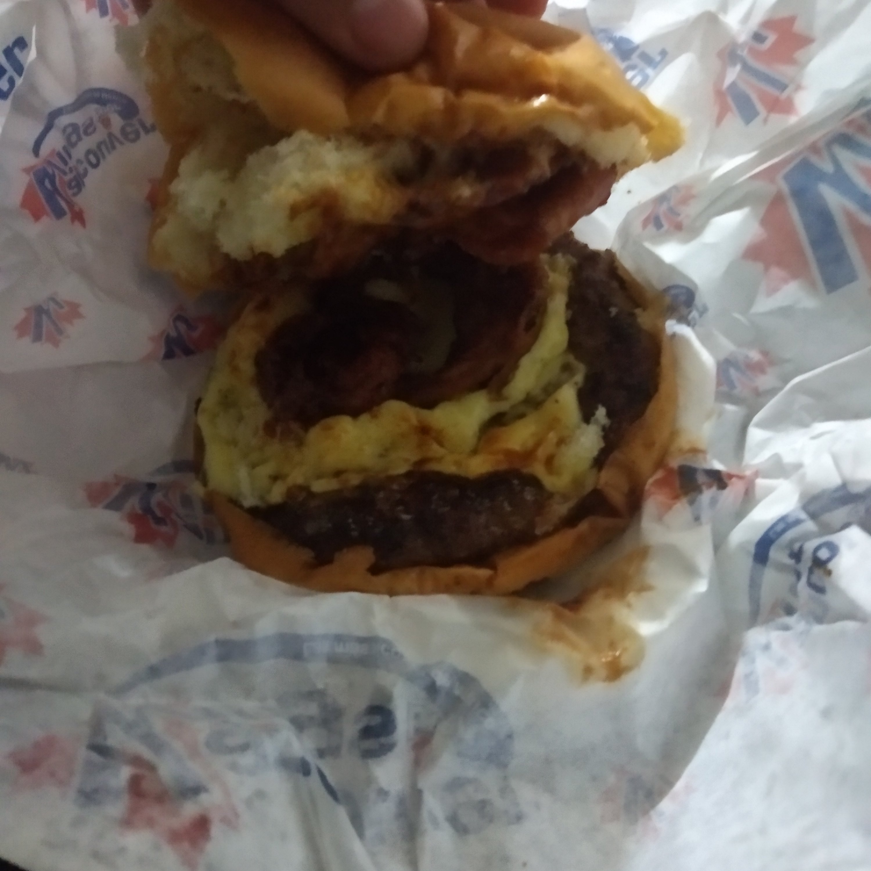 Vancouver Wings Sta. Catarina image 7