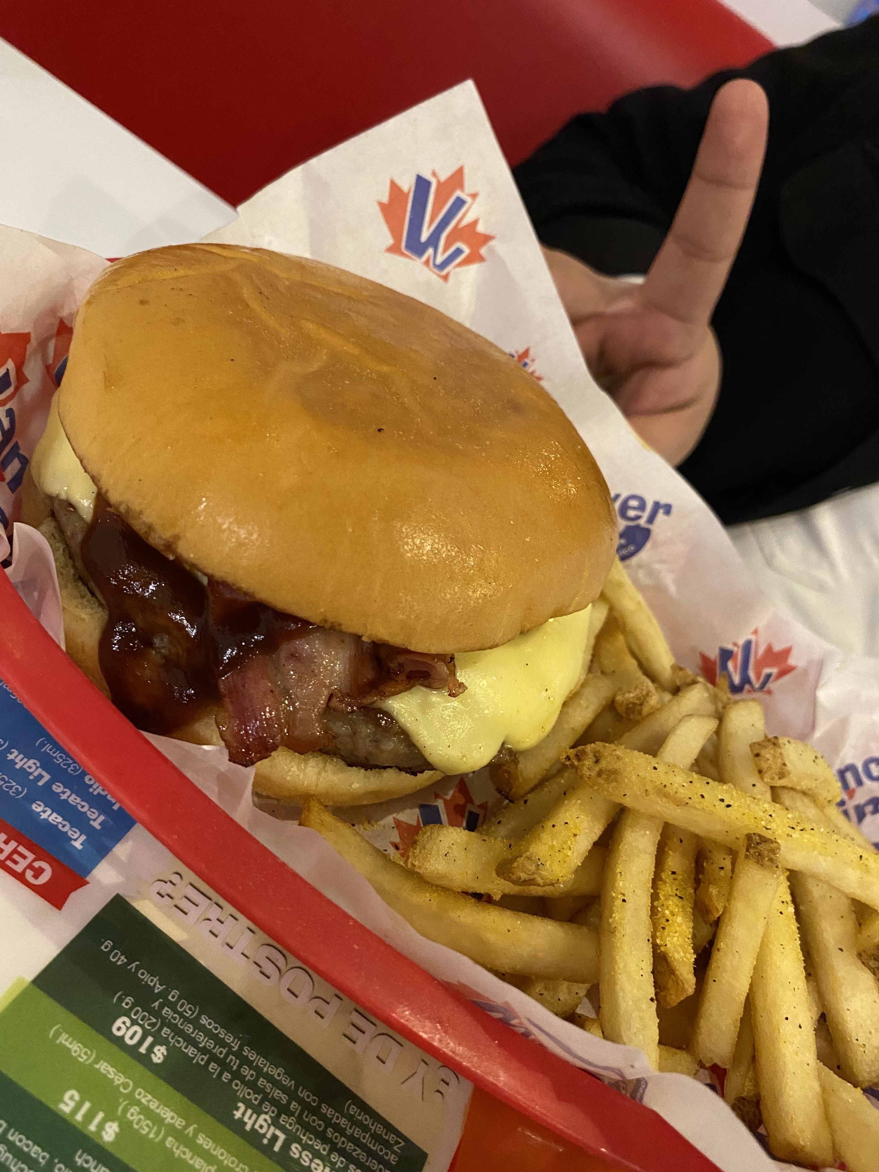 Vancouver Wings Sta. Catarina image 9