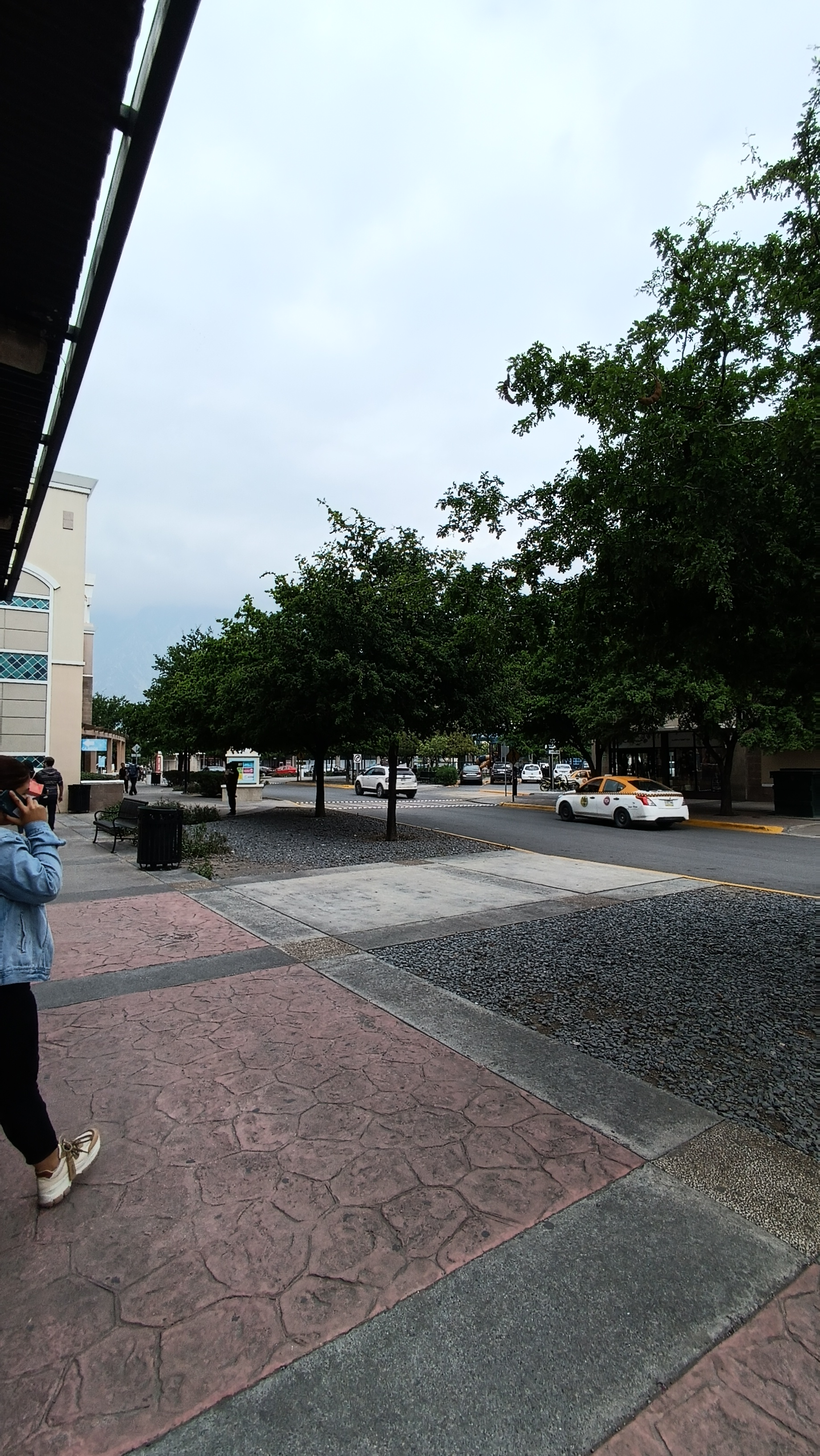 Wingstop Santa Catarina image 6