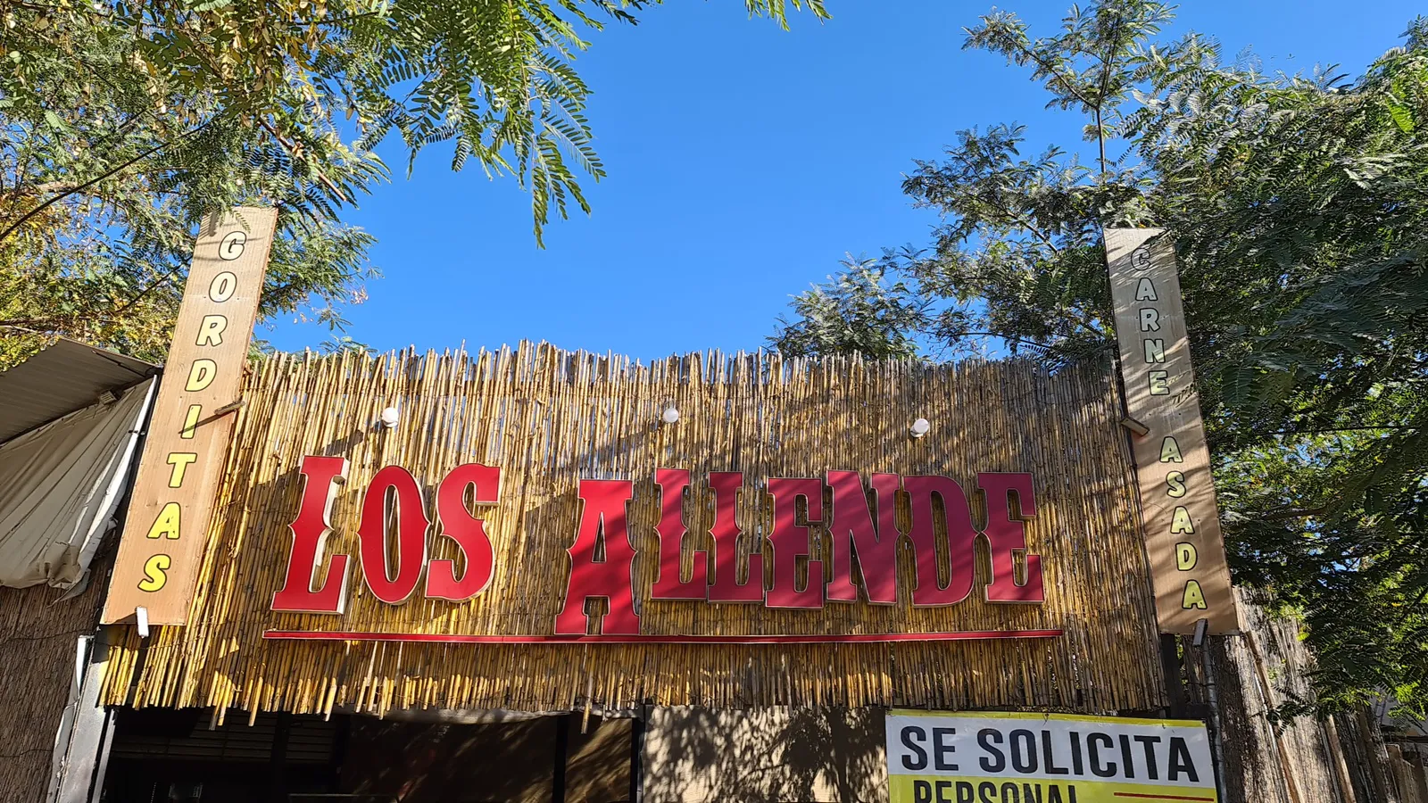 los allende image 2