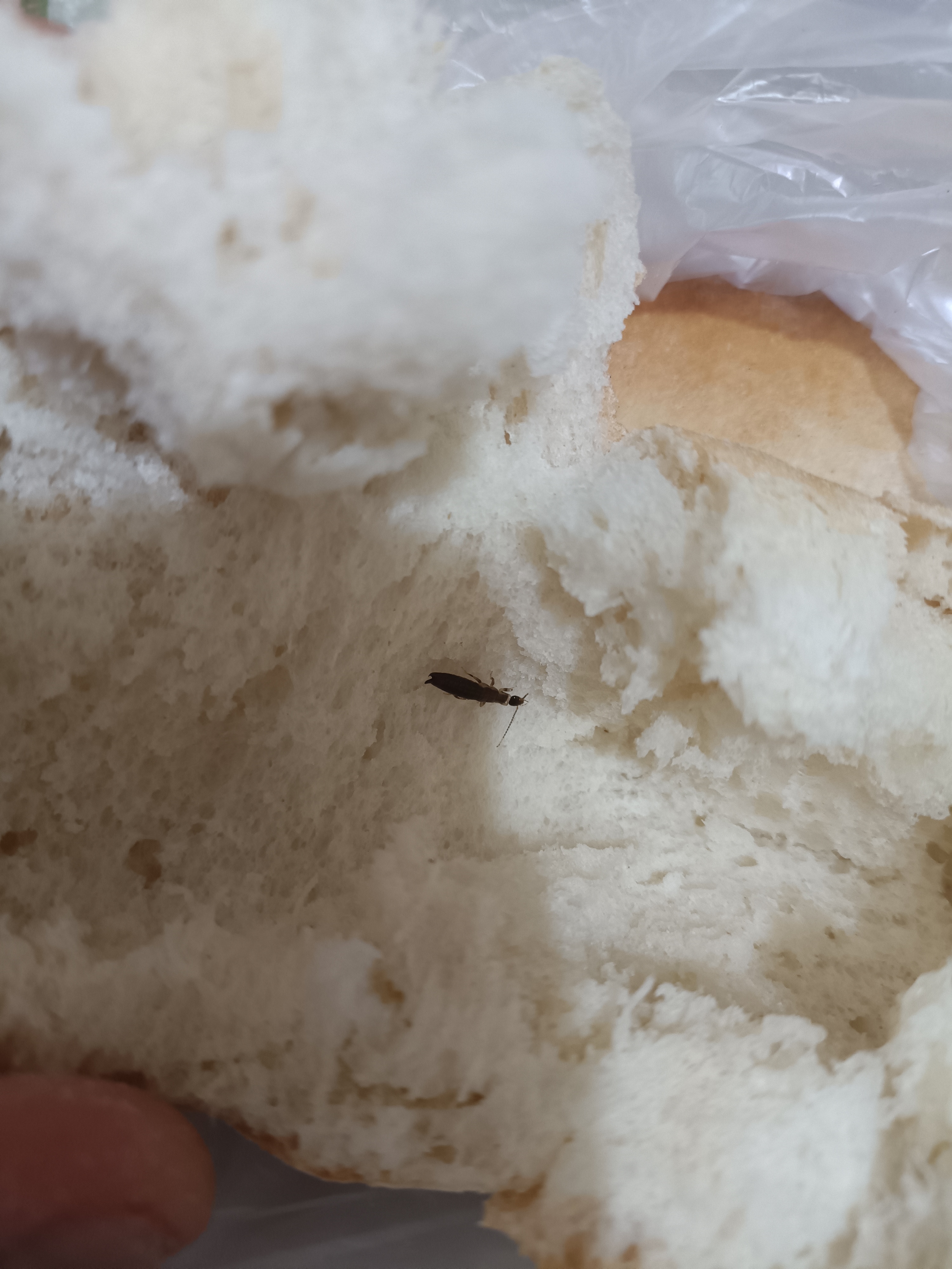 Barbacoa los roques image 6