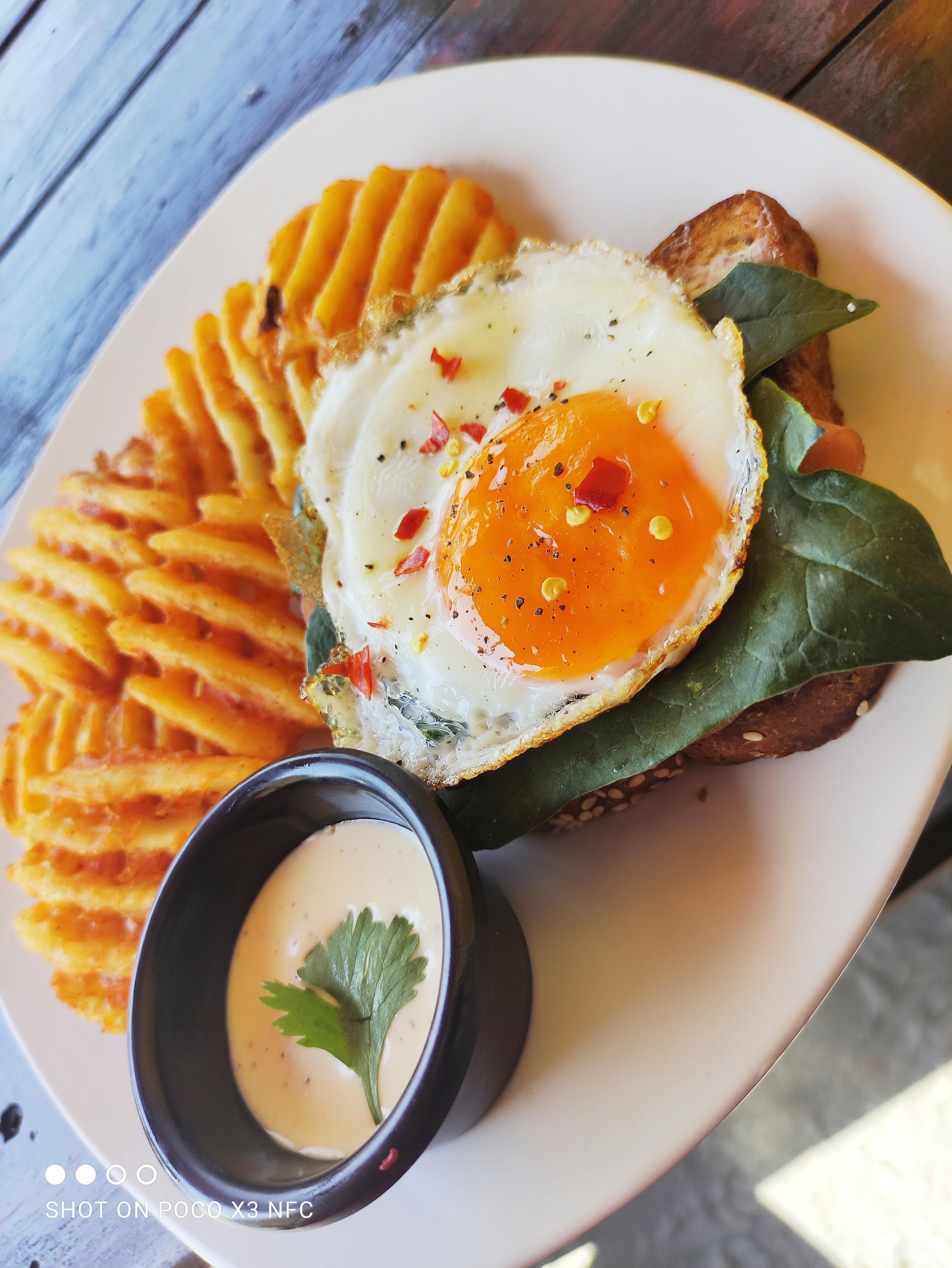 Los Machetes image 6