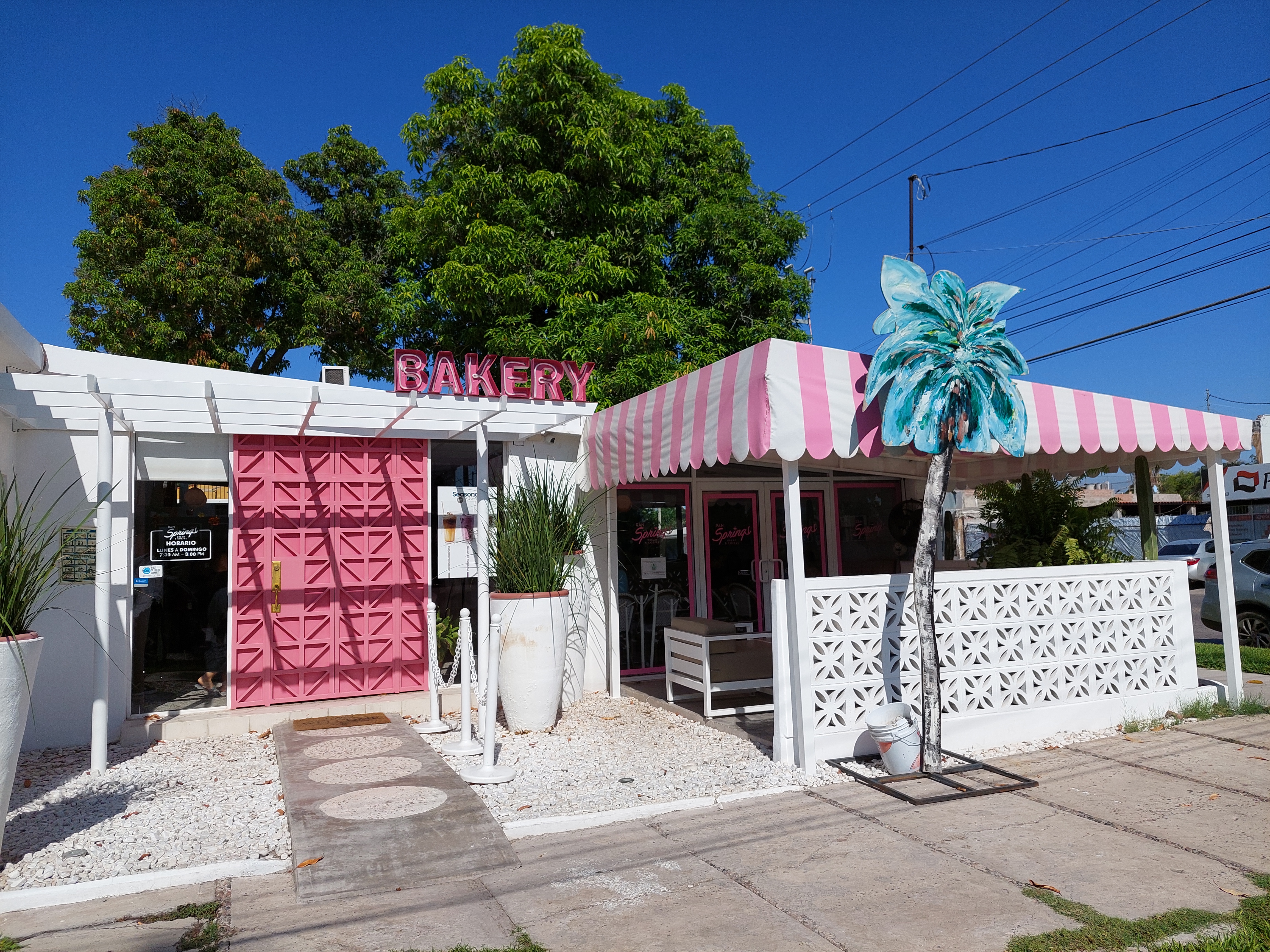 Pan Springs Los Mochis image 9