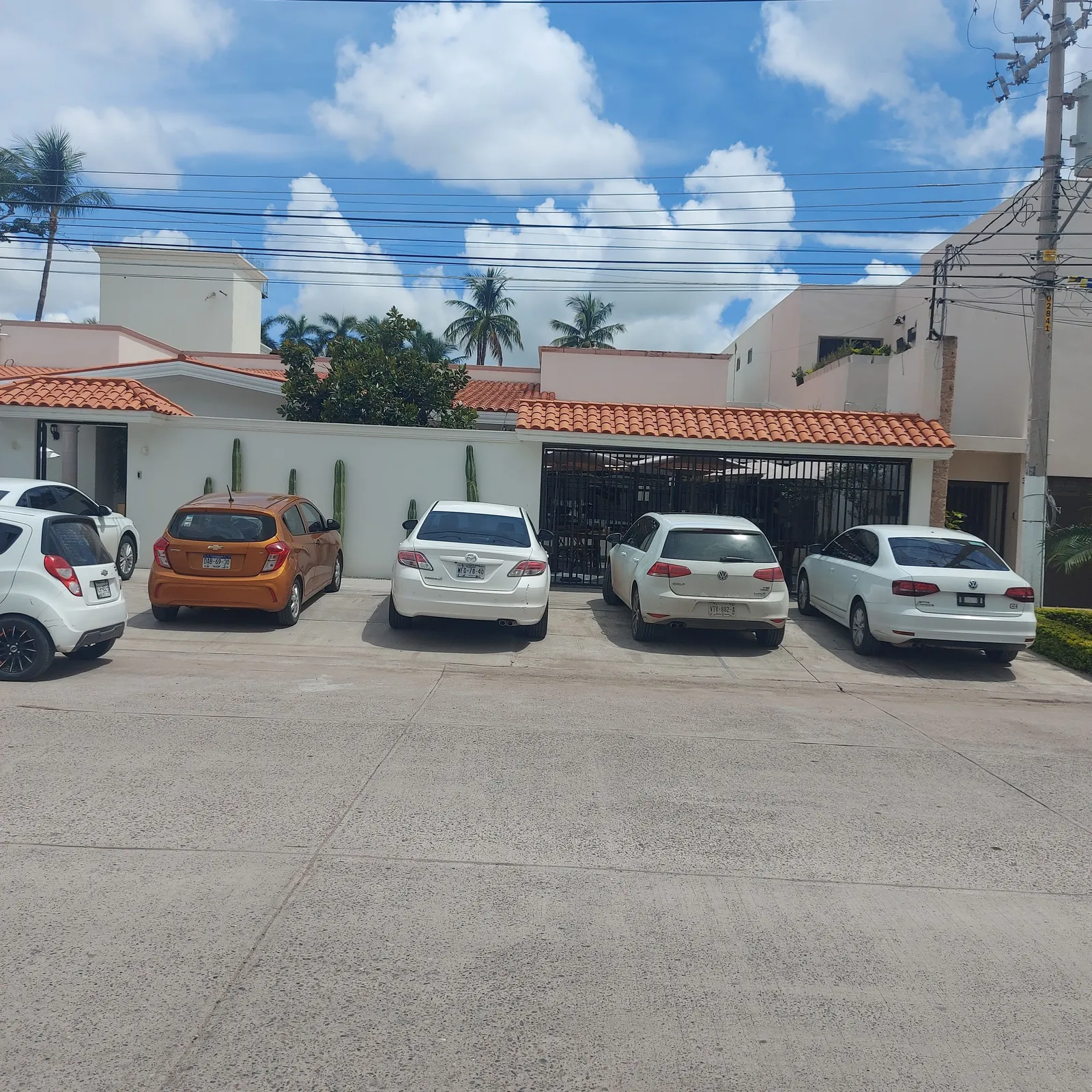 Don Gato image 8