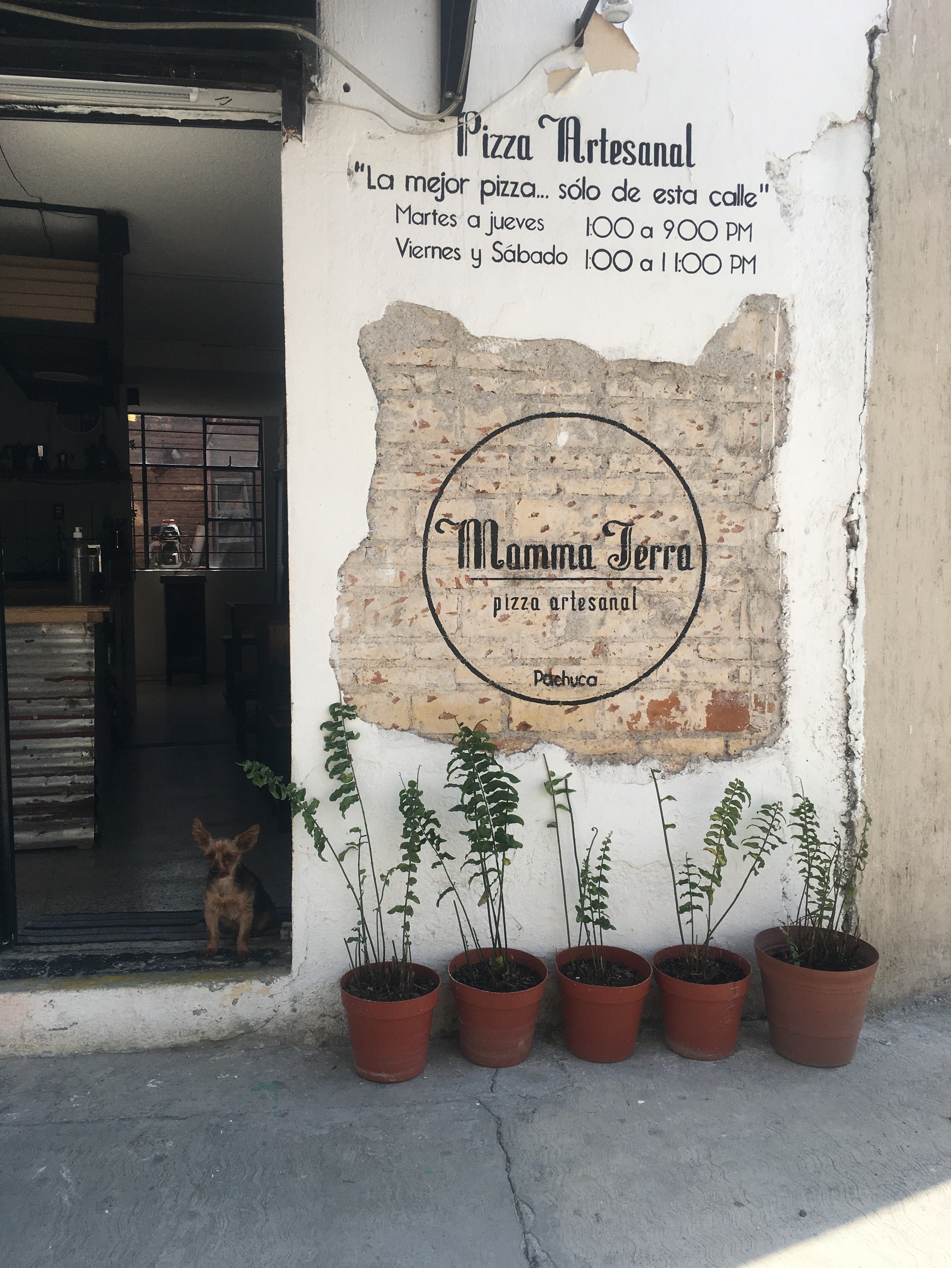 Mamma Terra Pizza image 4