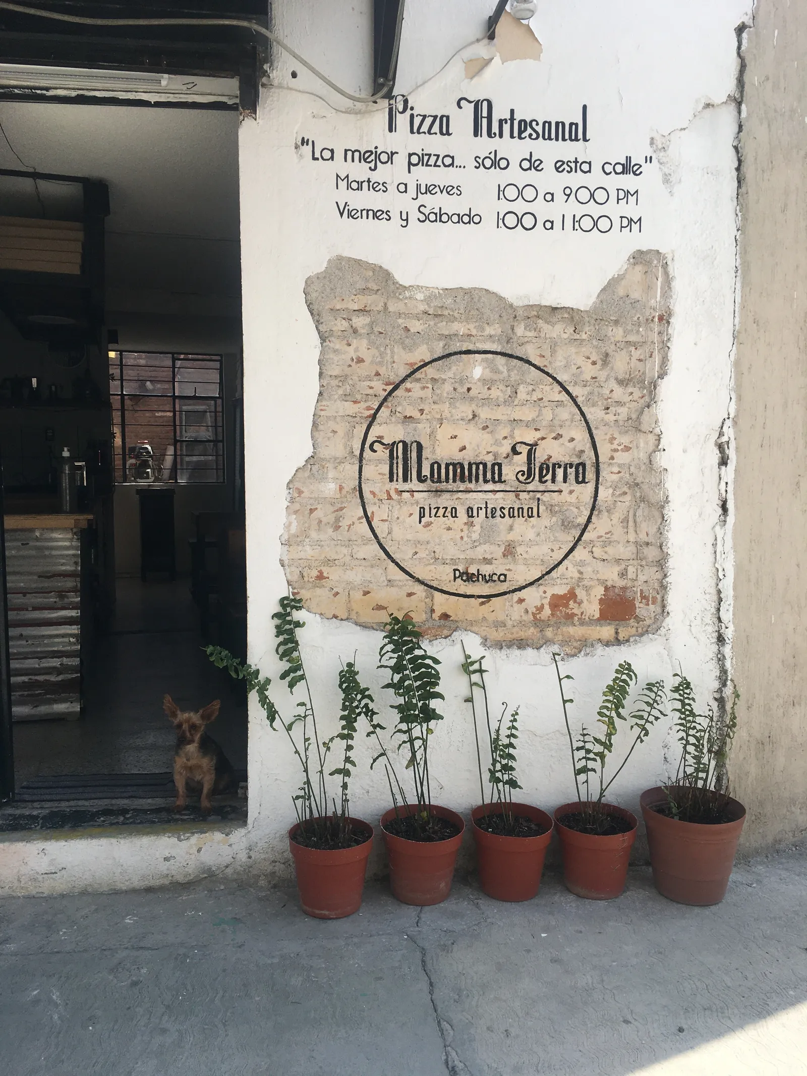 Mamma Terra Pizza image 4