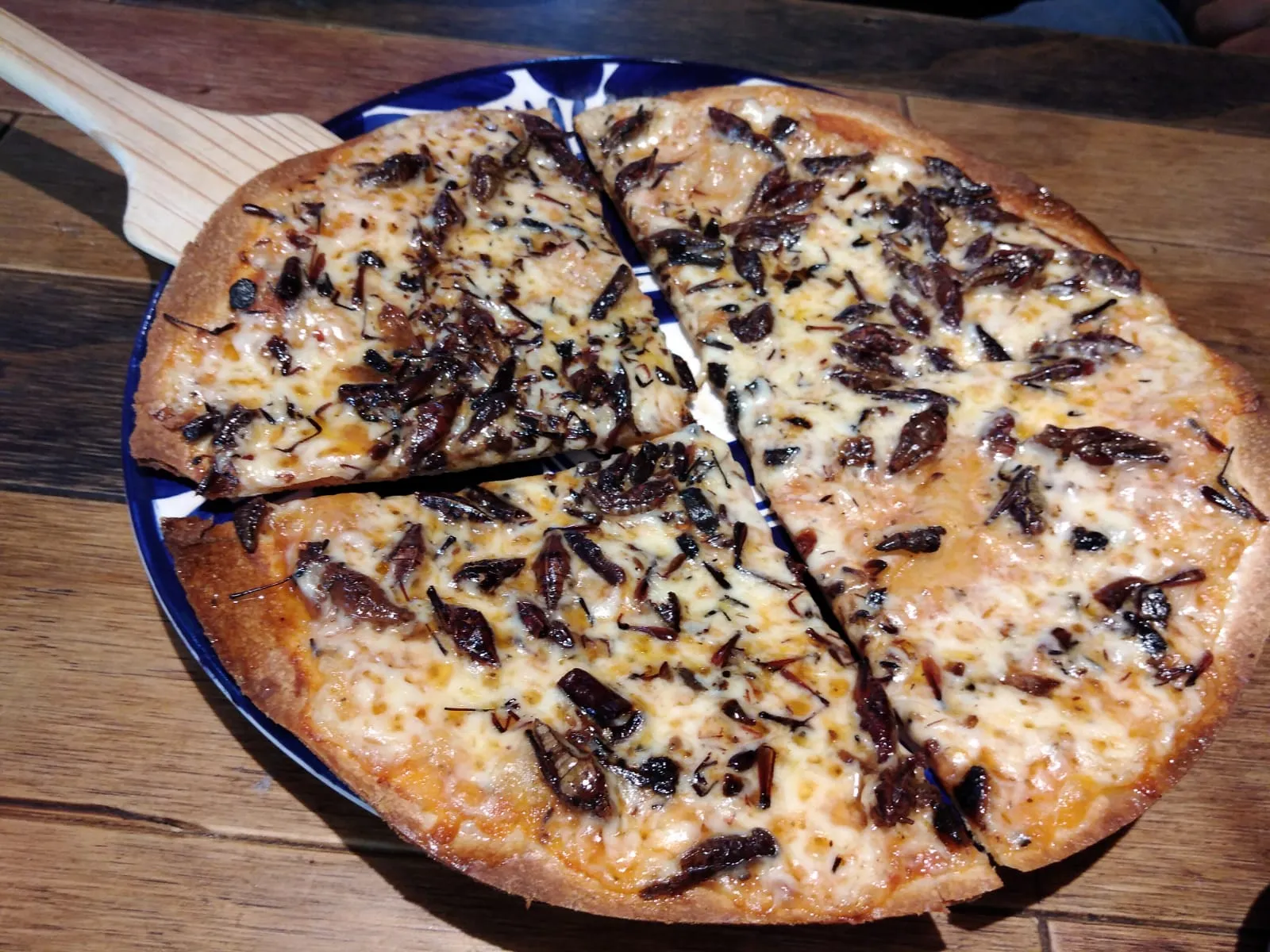 Mamma Terra Pizza image 8